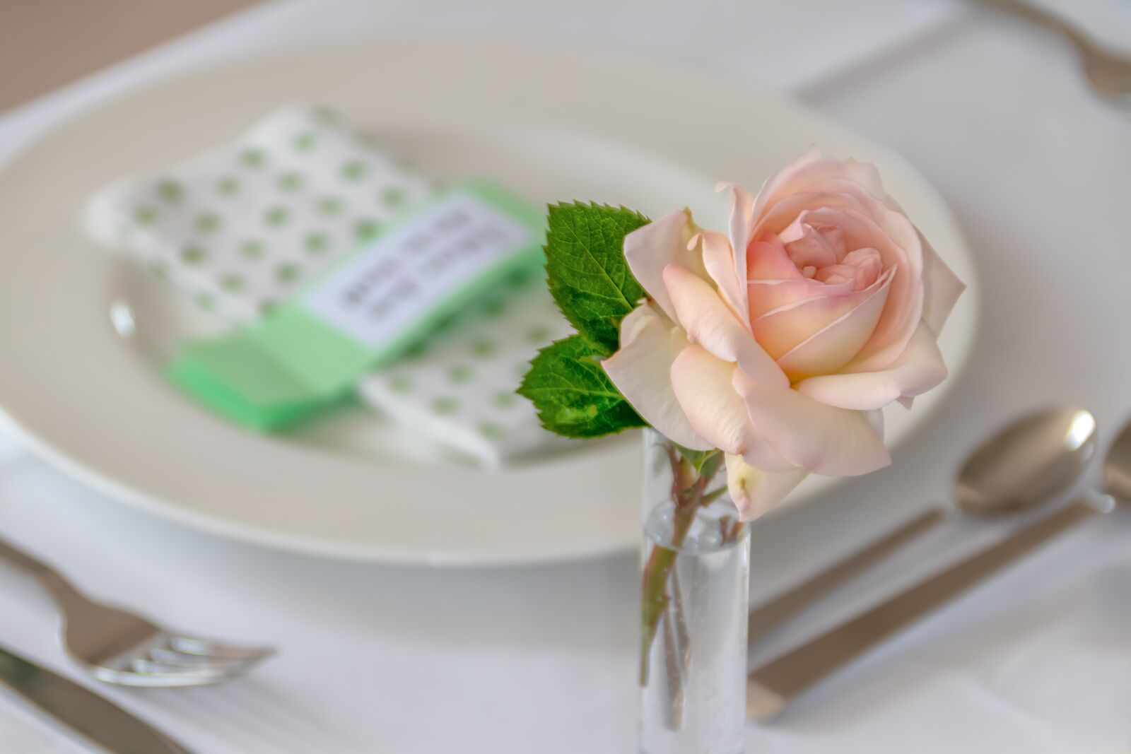 Canon EOS 80D sample photo. Decoration, table, communion photography