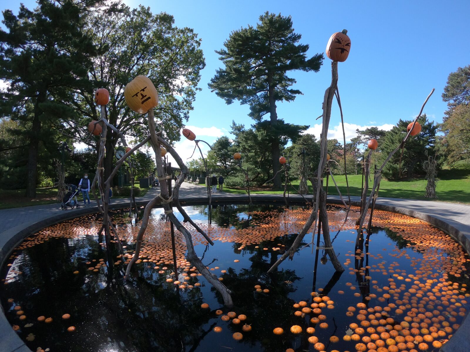 GoPro Hero6 Black sample photo. Pumpkin, autumn, harvest photography