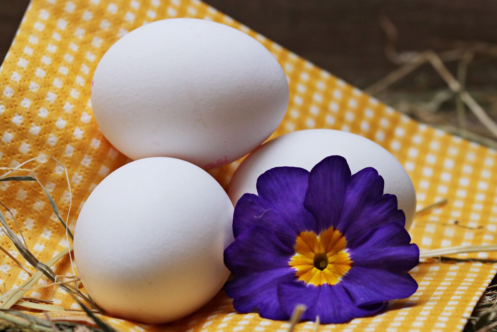 Canon EOS 80D sample photo. Egg, straw, flower photography