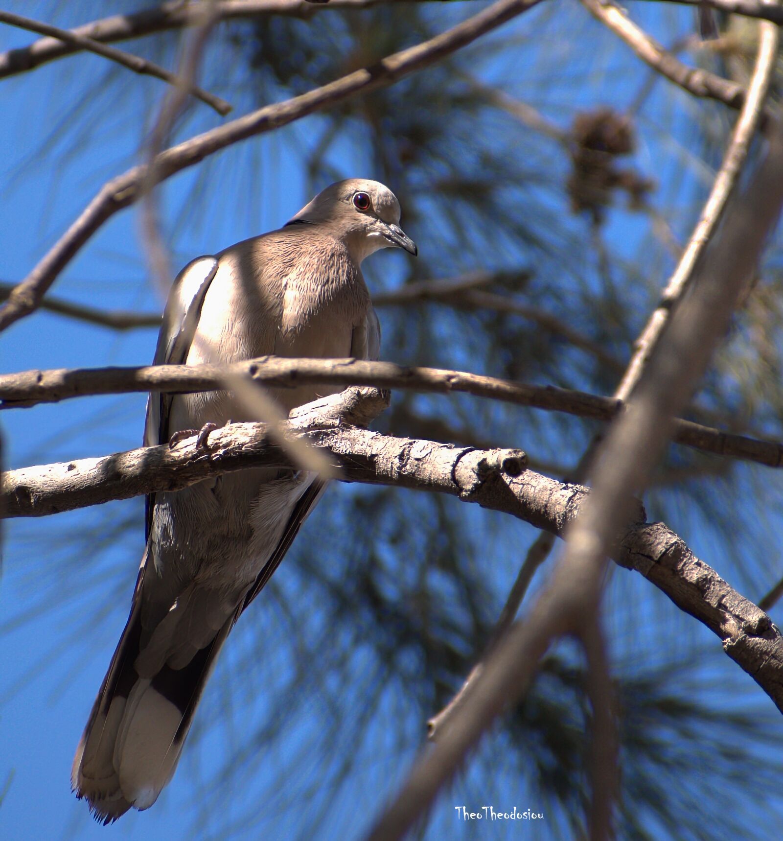 Nikon D5600 sample photo