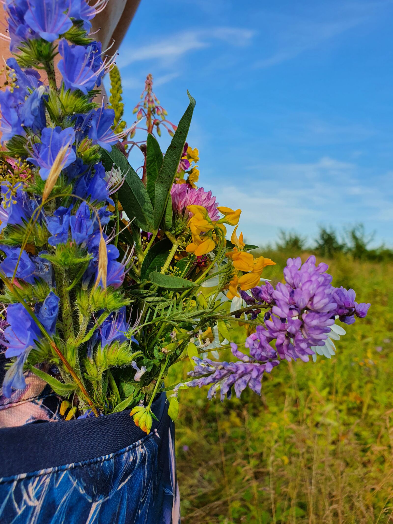 Samsung Galaxy S10 sample photo. Summer, field, flowers photography