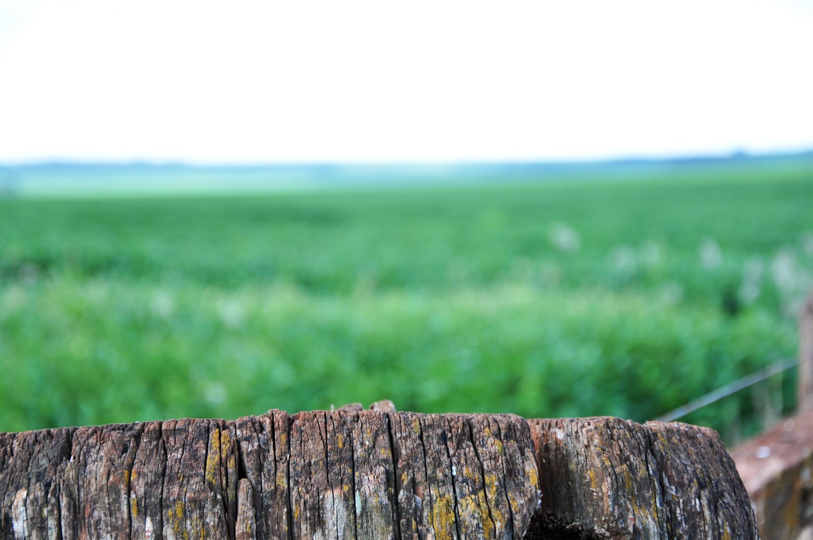 Nikon D90 sample photo. About, wood, farm photography