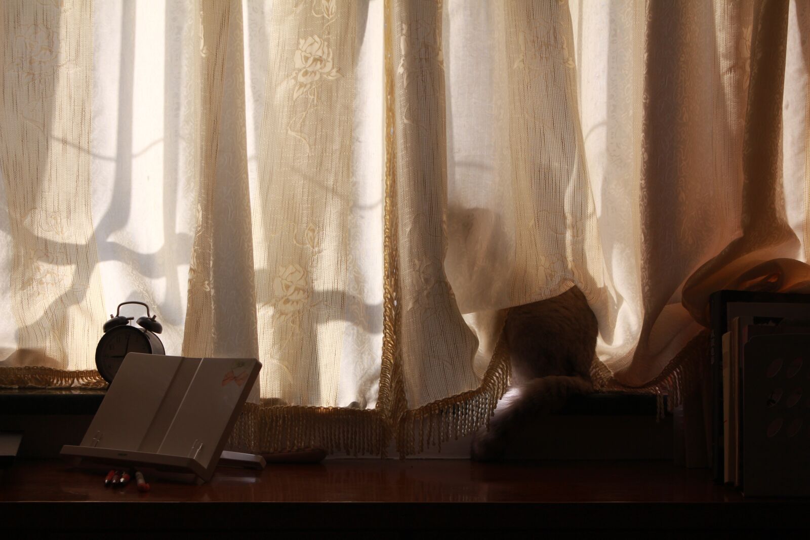 Canon EOS 700D (EOS Rebel T5i / EOS Kiss X7i) sample photo. Curtains after the cat photography