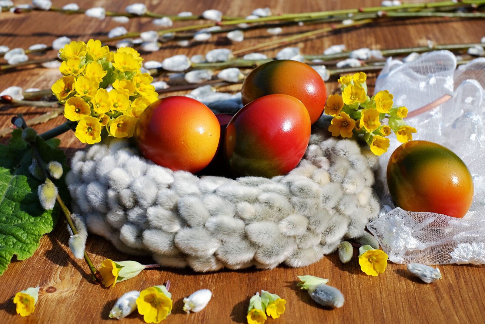 Fujifilm X-T10 + Fujifilm XF 35mm F1.4 R sample photo. Easter eggs, egg, bio photography