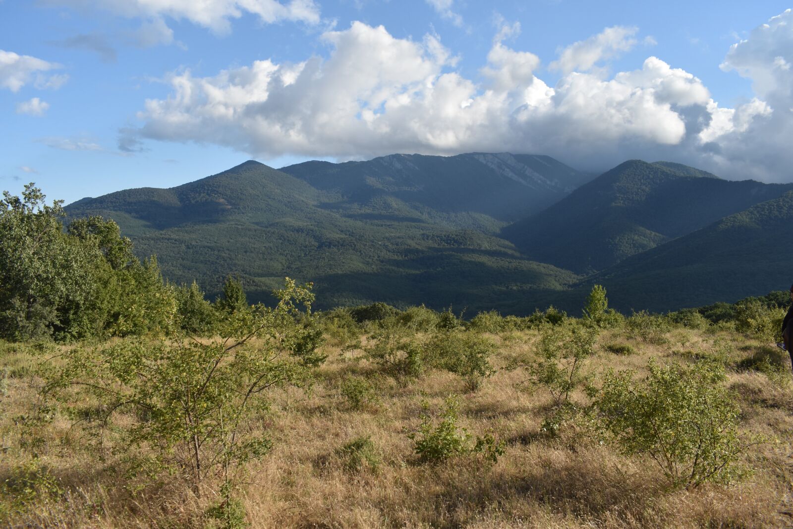 Nikon D3400 sample photo. Mountains, forest, landscape photography
