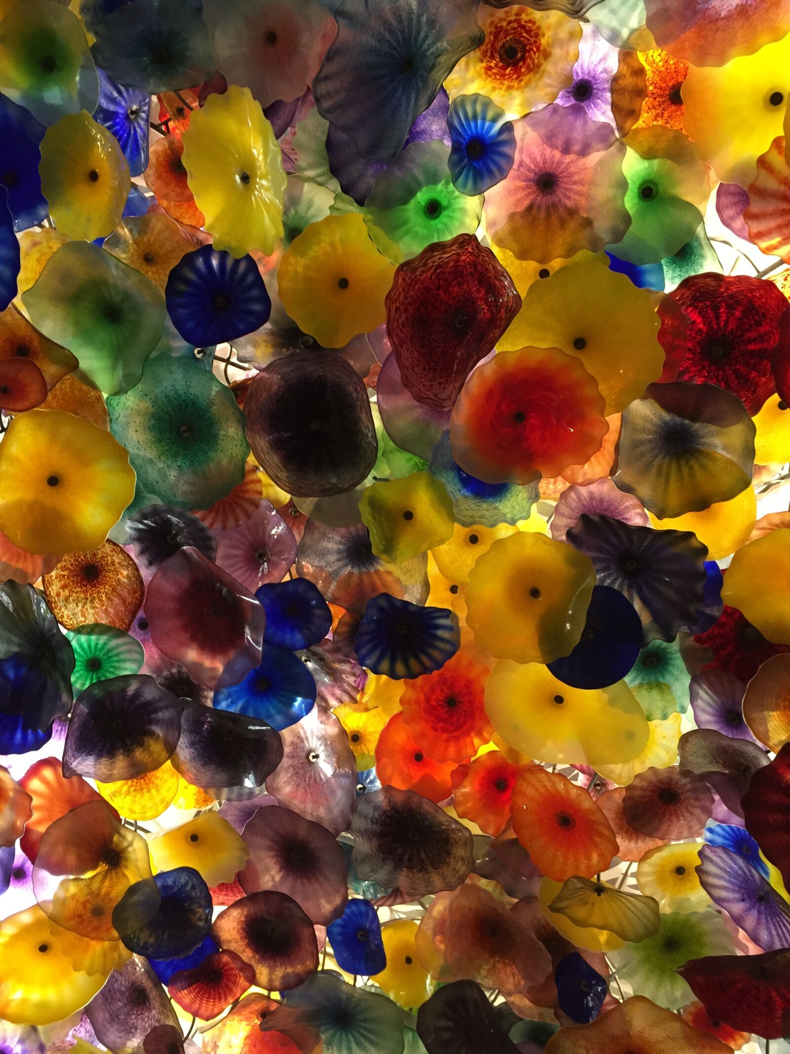 Apple iPhone 6 sample photo. Chihuly, pattern, color photography