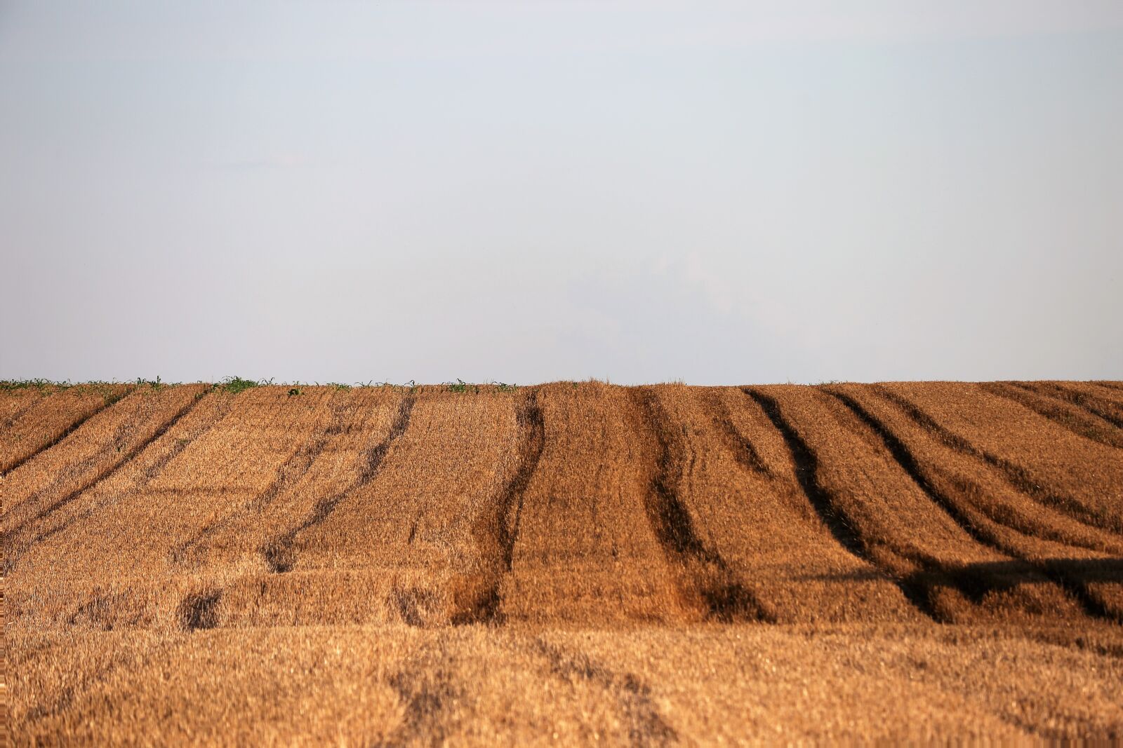 Canon EF 70-300 F4-5.6 IS II USM sample photo. Agriculture, harvested wheat field photography