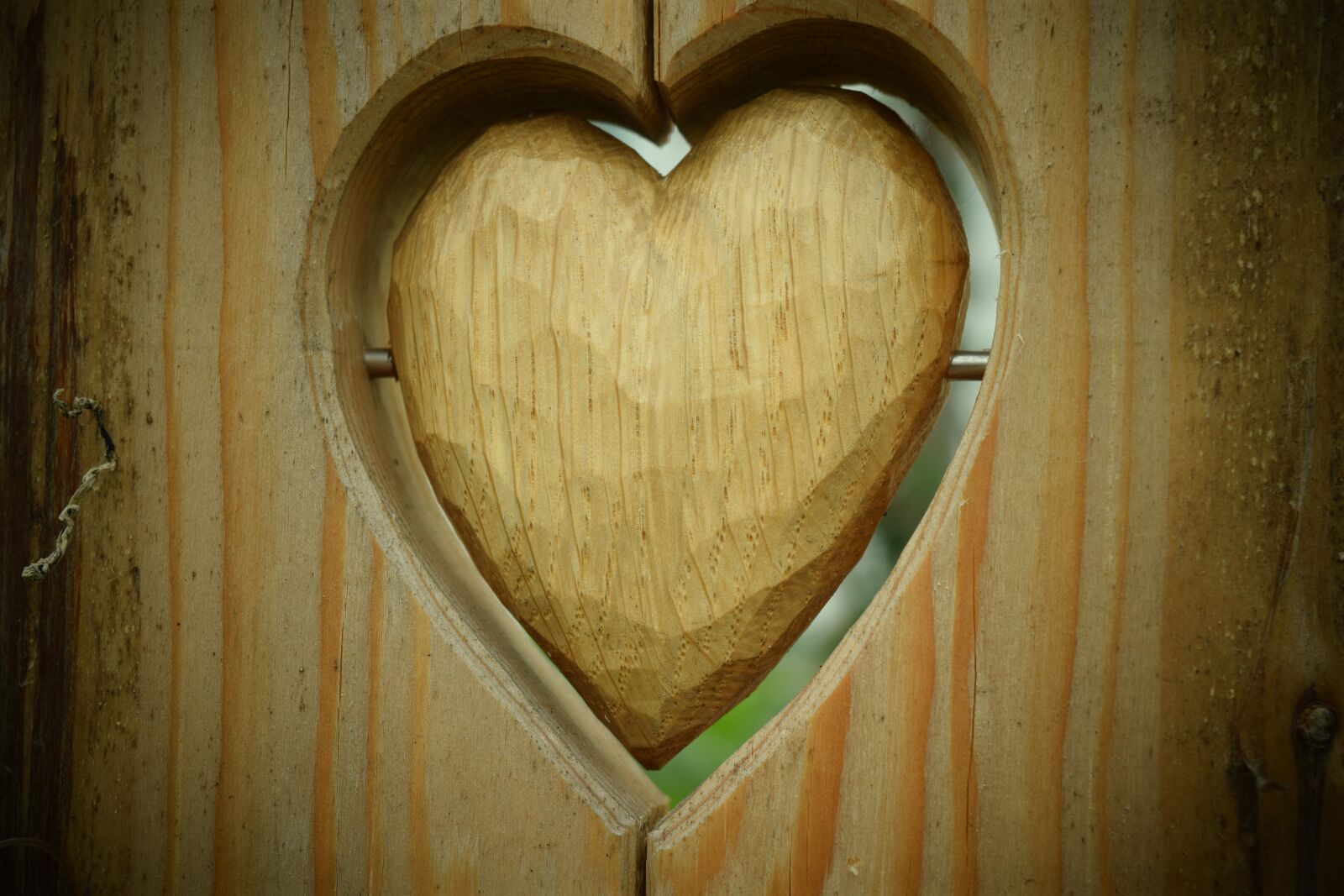 Nikon D3300 sample photo. Heart, wood, nature photography