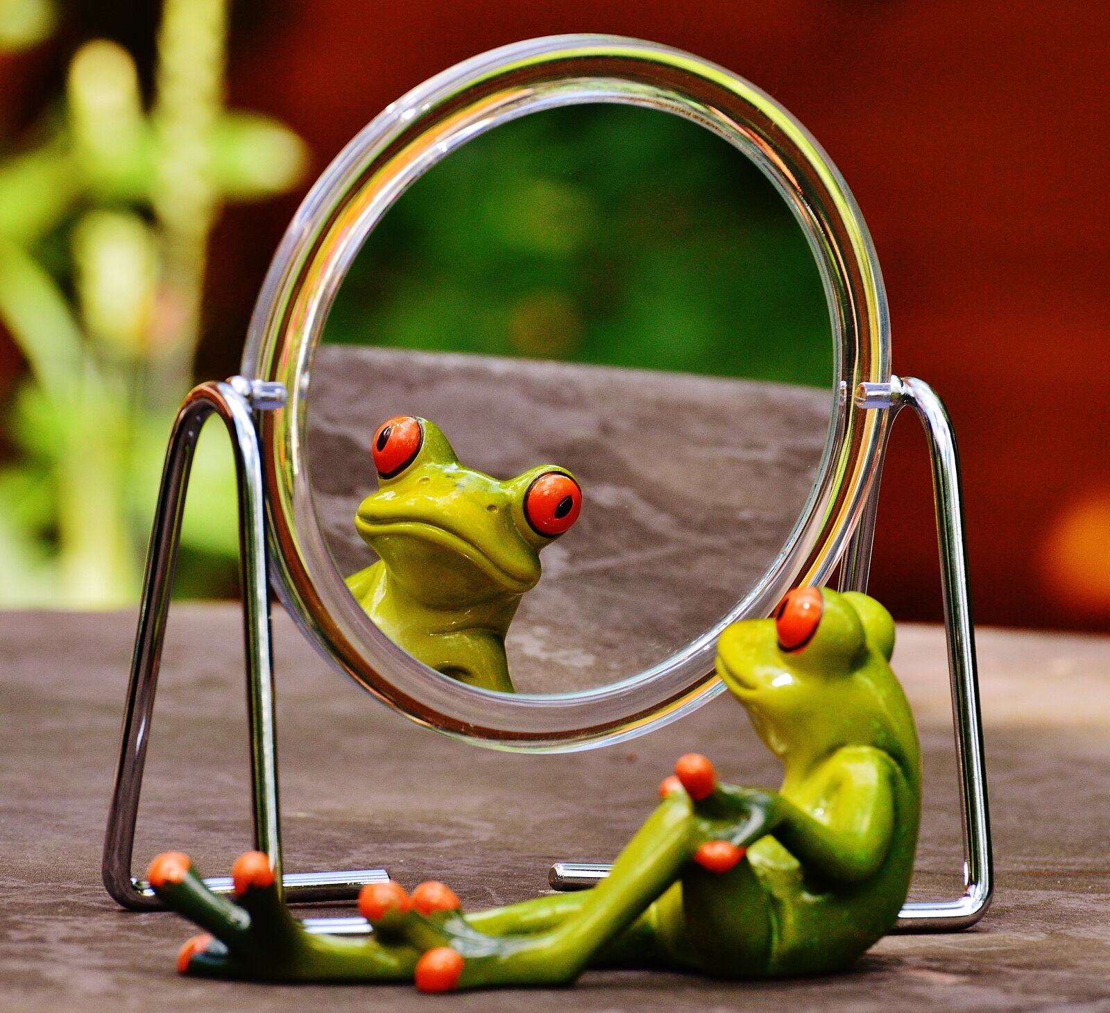 Nikon D3200 sample photo. Frog, mirror, mirror image photography