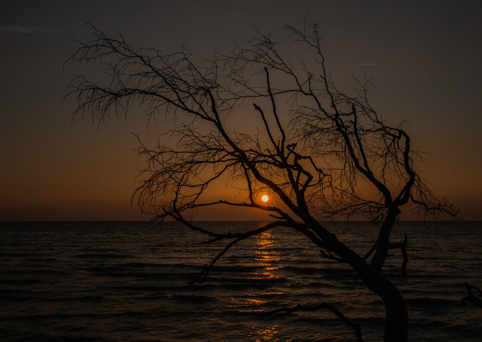 Canon EOS 70D sample photo. Sunset, darß, west beach photography
