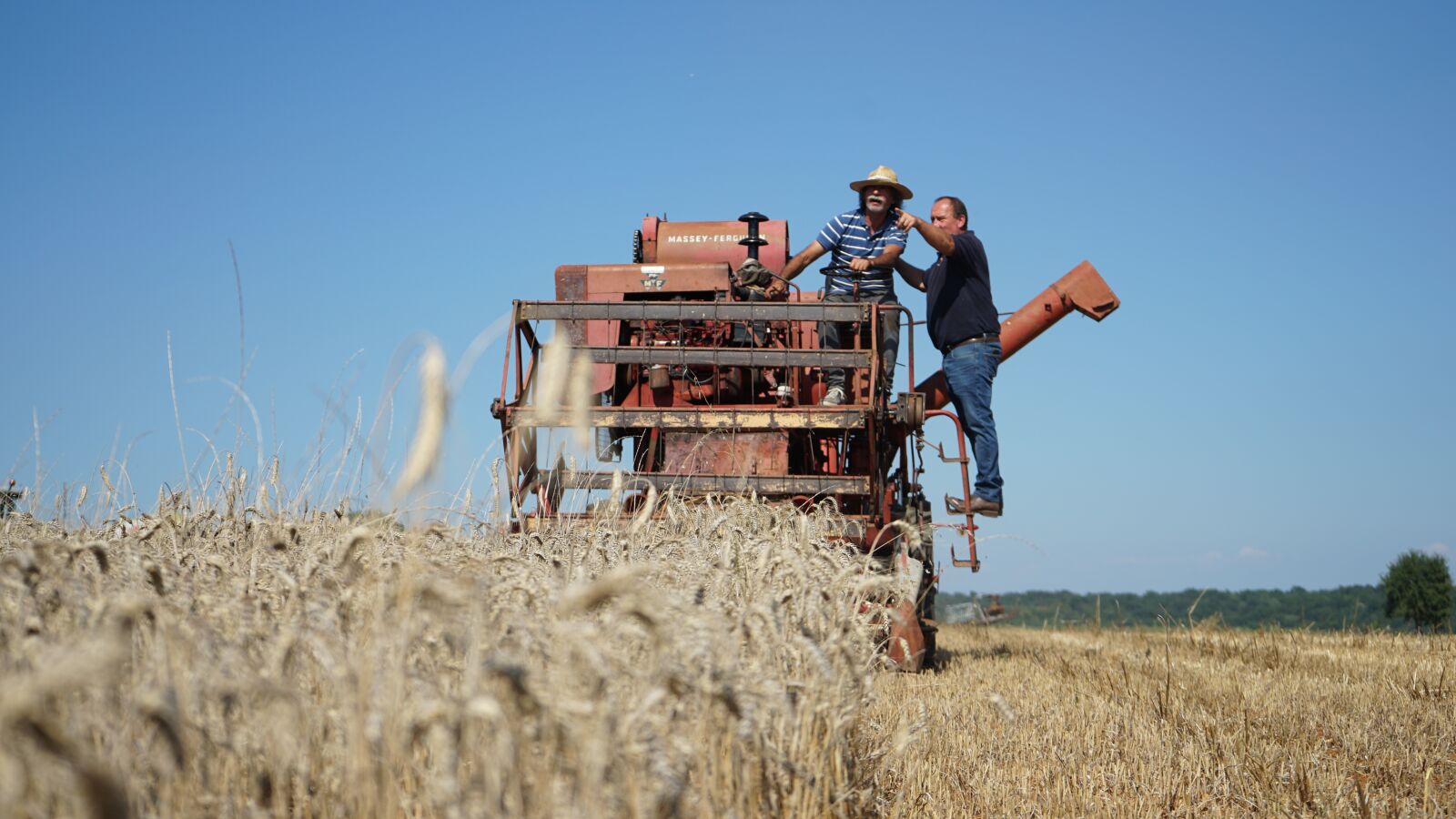 Sony a7 II + Sony FE 28-70mm F3.5-5.6 OSS sample photo. Agriculture, harvester, field photography