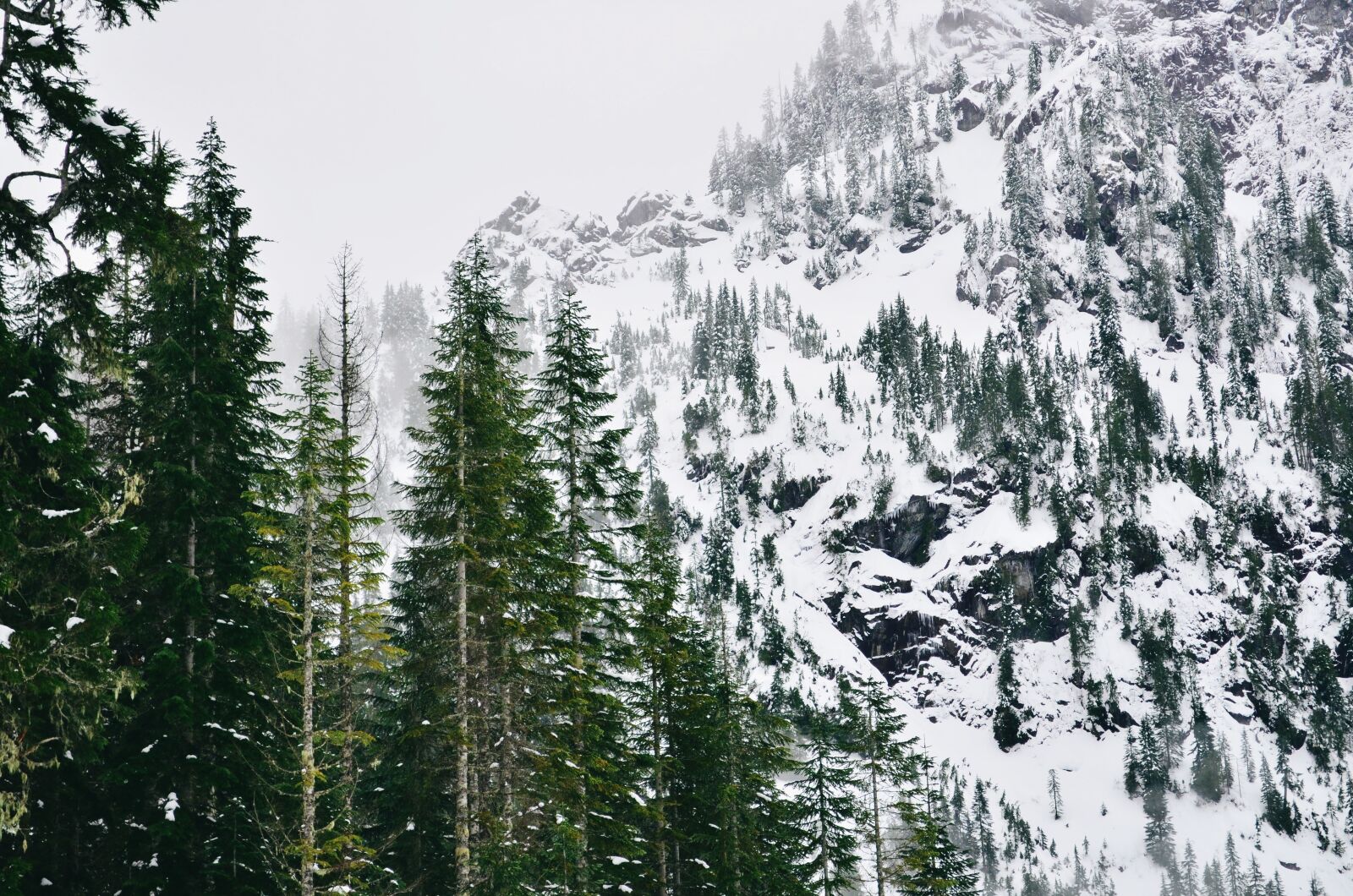 Nikon D5100 sample photo. Mountains, snowy, alaska photography