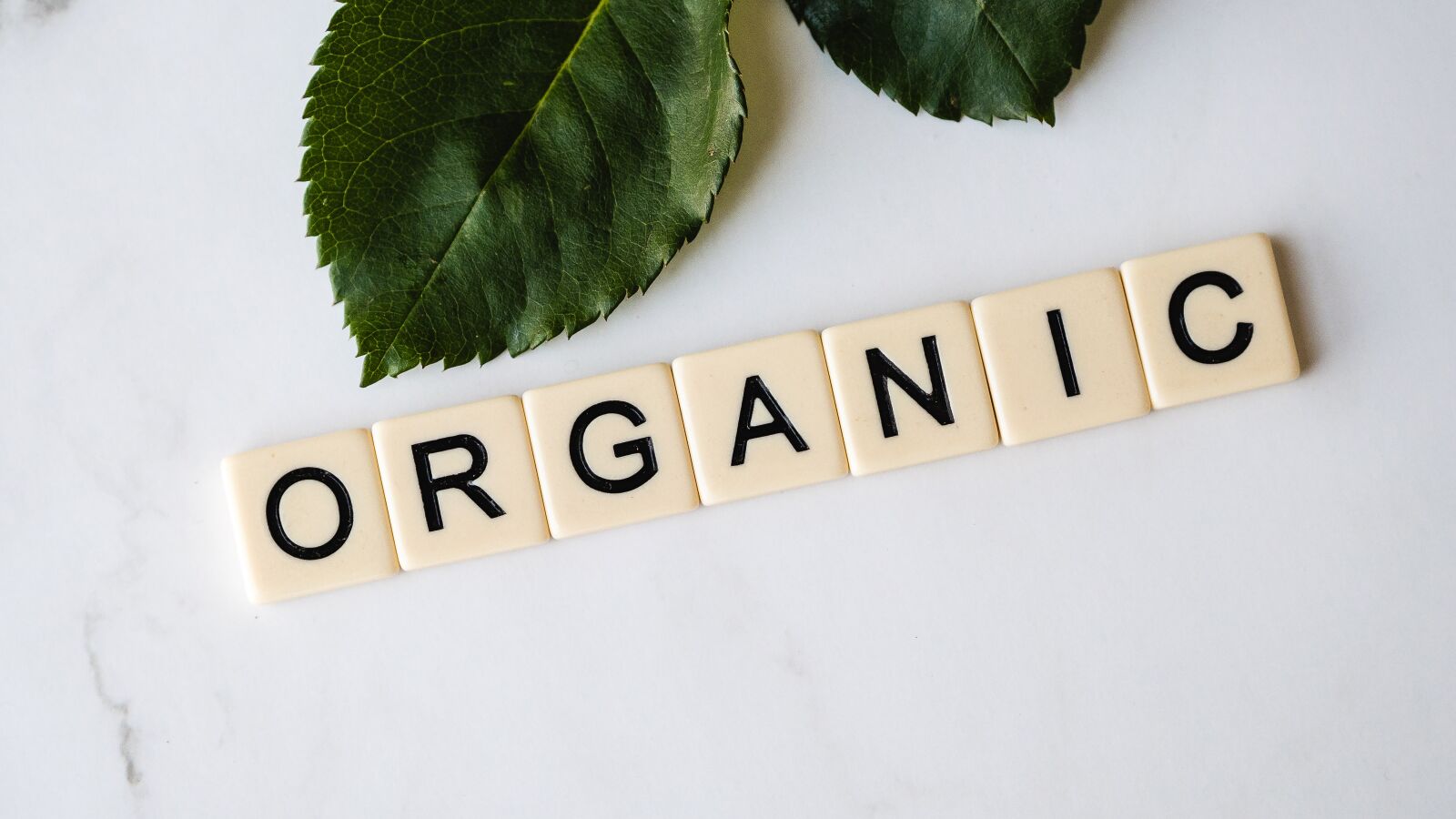 Olympus OM-D E-M10 III sample photo. Organic, herbal, healthy photography