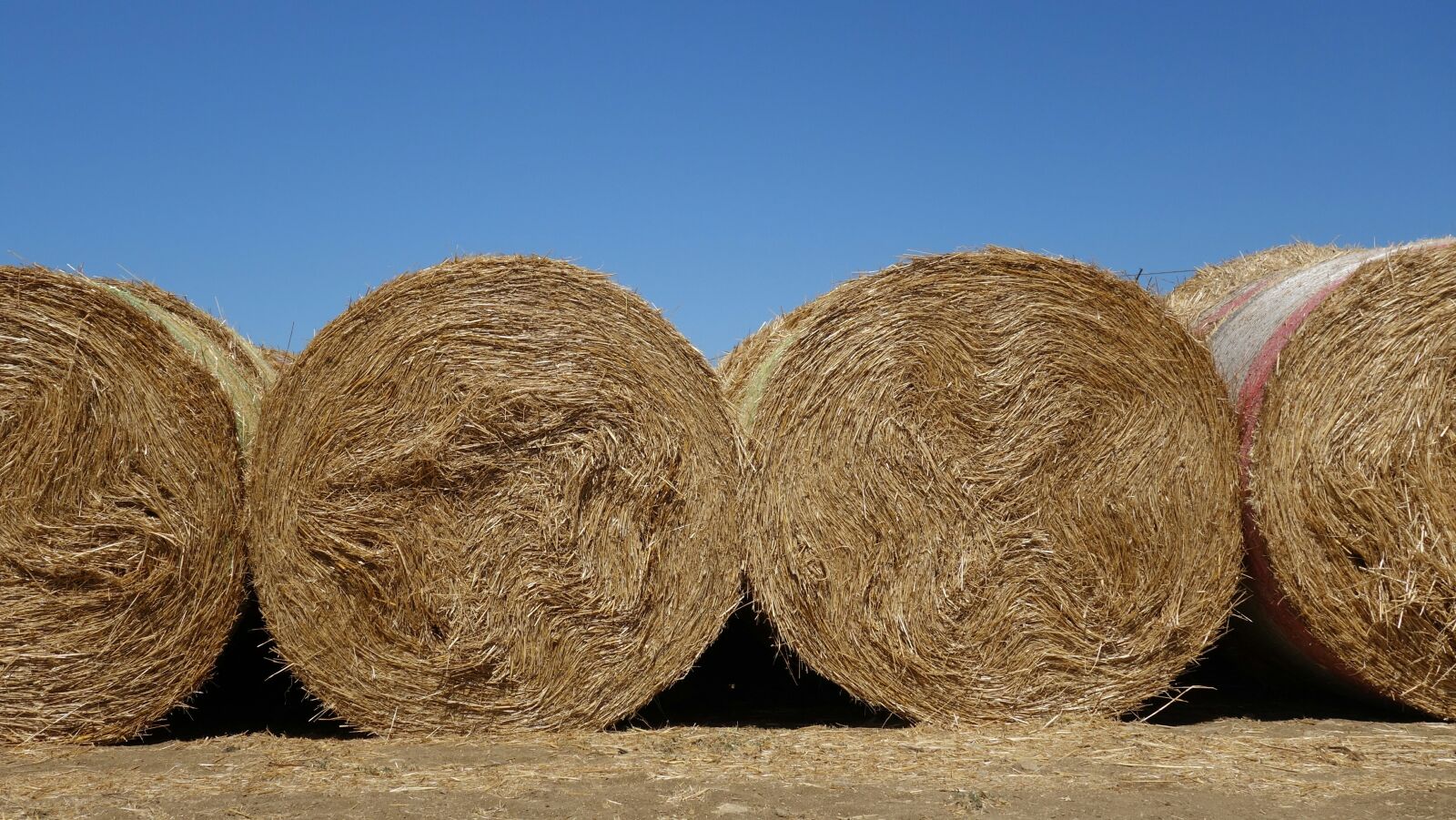 Sony Cyber-shot DSC-RX100 II sample photo. Straw bales, straw, roll photography