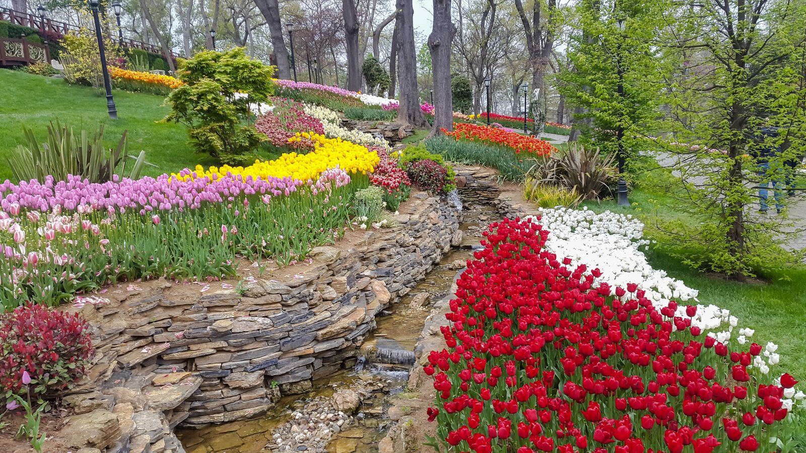 Samsung Galaxy S5 sample photo. Emirgan, park, garden photography