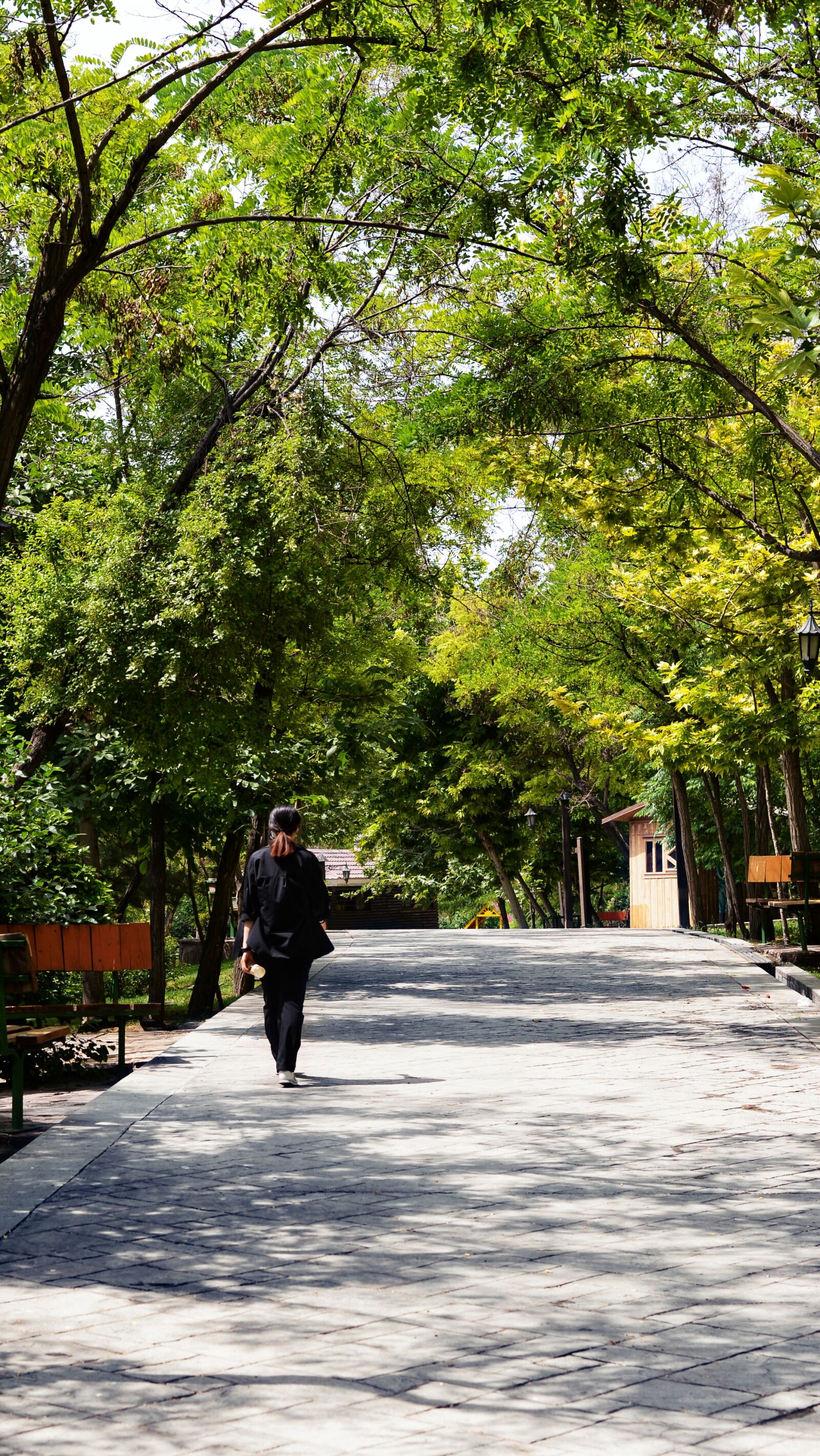 Nikon D610 sample photo