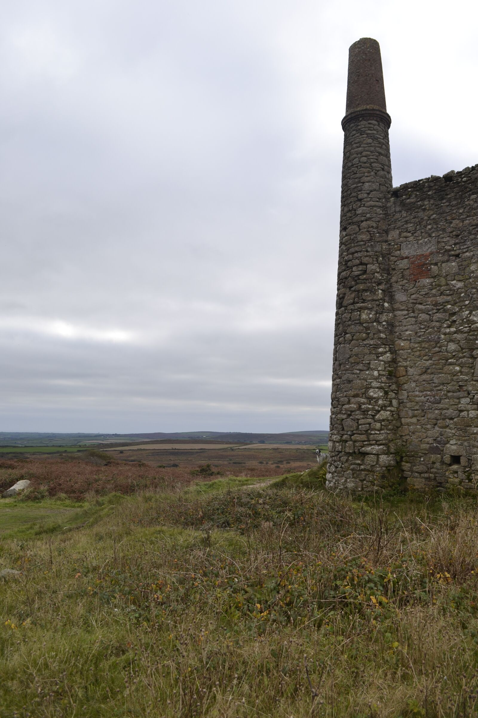 Nikon D3100 sample photo. Tin, mine, cornwall photography