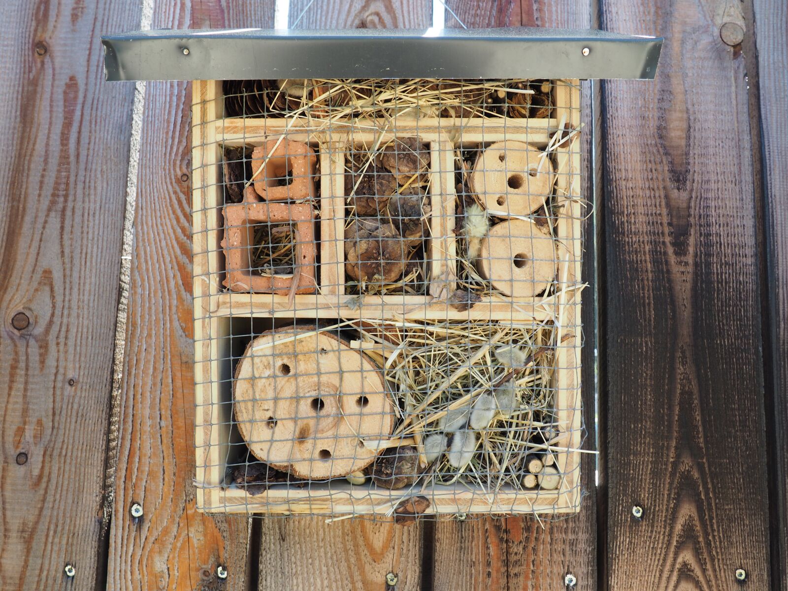 Olympus OM-D E-M10 sample photo. Insect hotel, bee, bee photography
