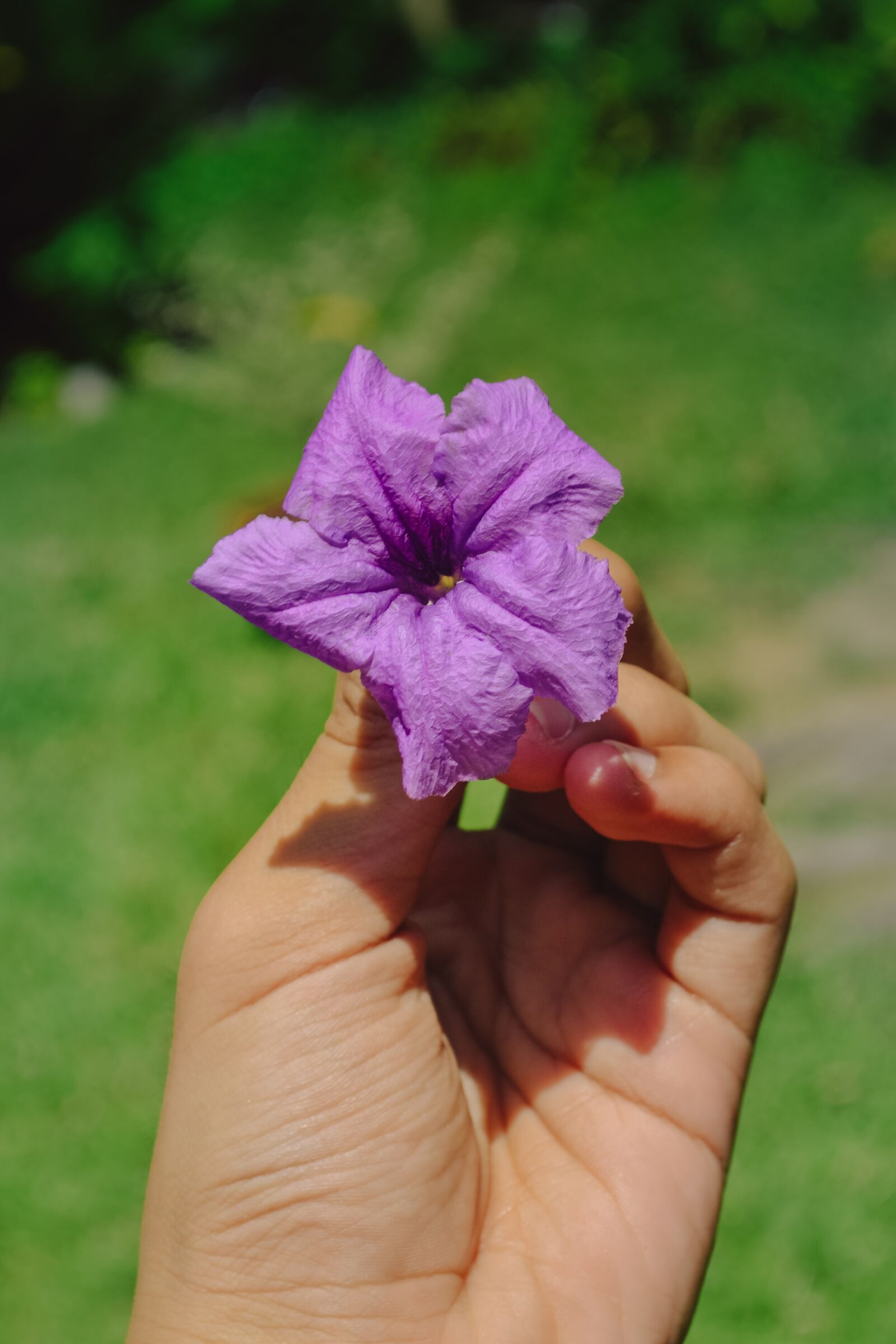 Nikon D3100 sample photo. Flower, hand, green photography