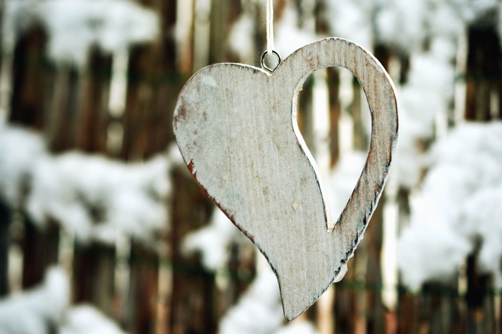 Nikon D5200 sample photo. Rope, ring, heart, wood photography