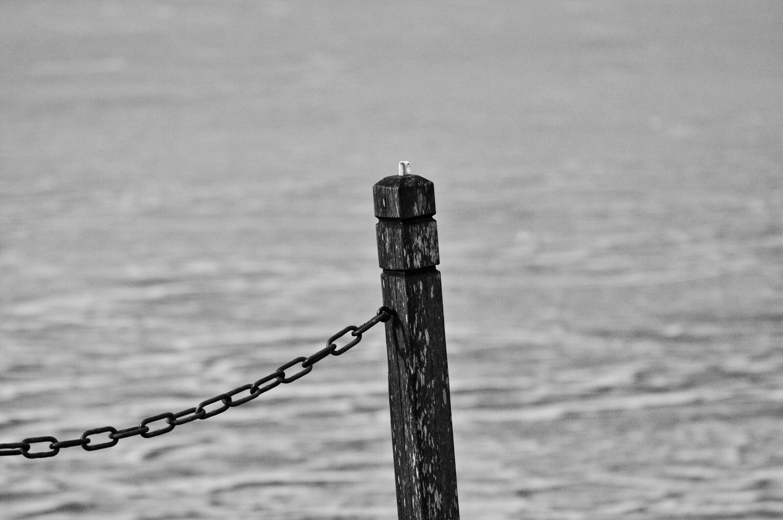 Nikon D90 sample photo. Post, wooden post, chain photography