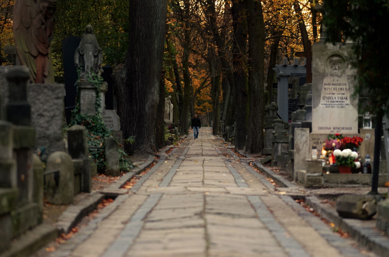 Nikon D5100 sample photo. Landscape, alley, paved photography