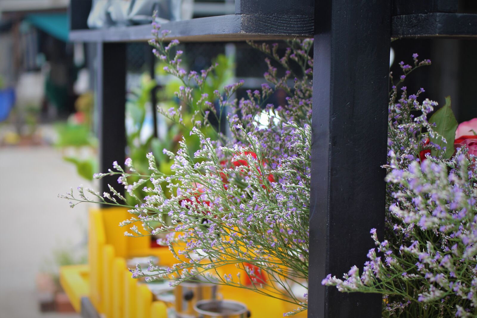 Canon EOS 700D (EOS Rebel T5i / EOS Kiss X7i) sample photo. Coffee, flowers, bouquet photography