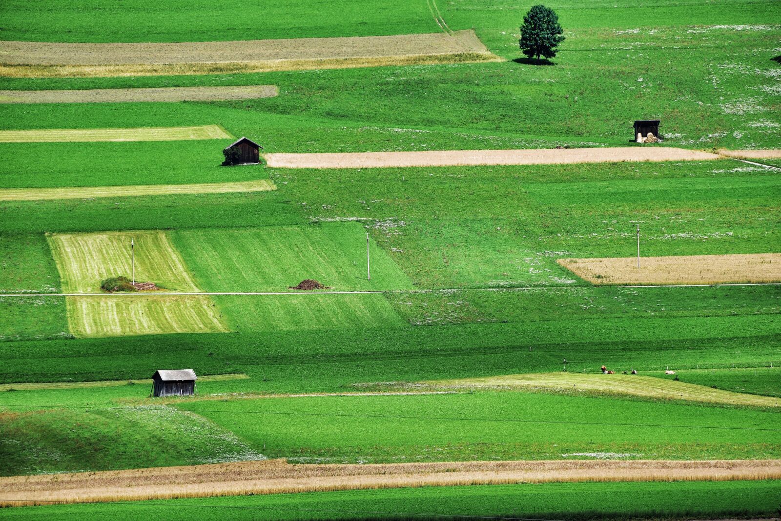 Nikon D750 sample photo. Green, south tyrol, mountain photography