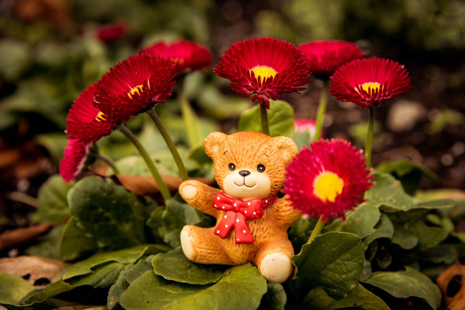 Nikon D750 sample photo. Bear, toy, berries photography