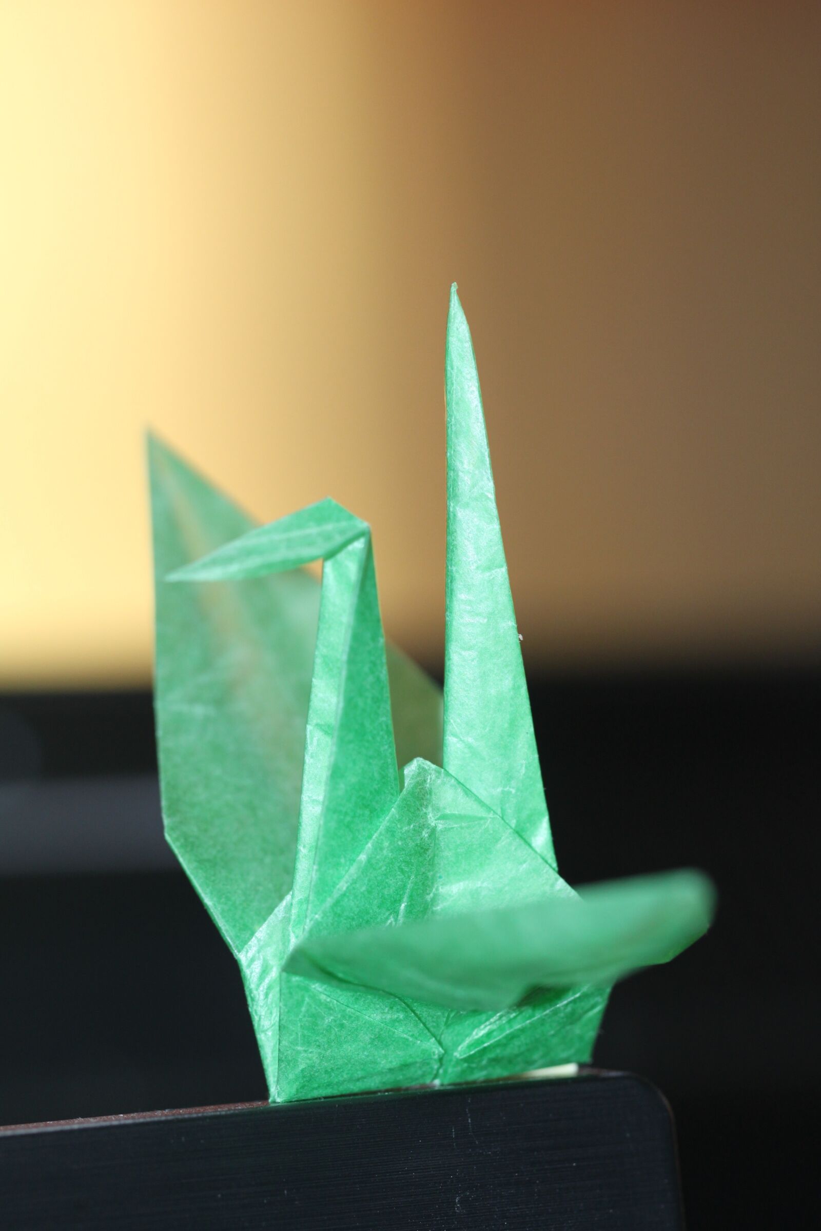Canon EOS 500D (EOS Rebel T1i / EOS Kiss X3) sample photo. Paper cranes, green, bird photography