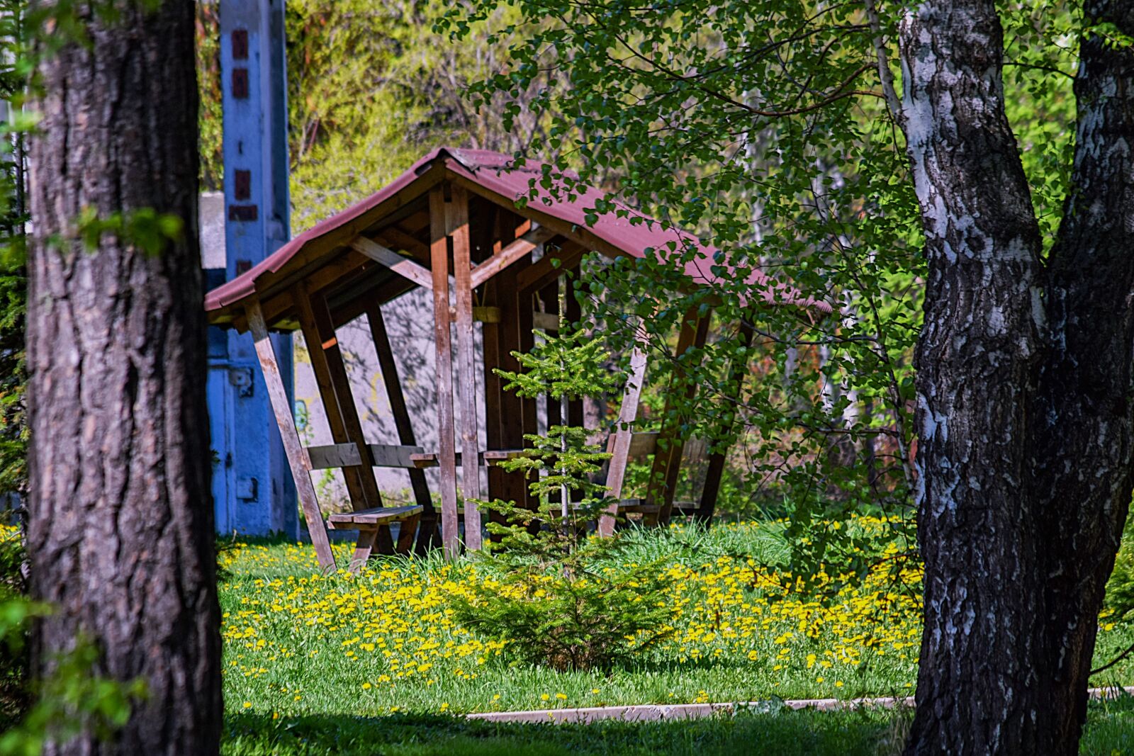 Nikon D3300 sample photo. Park, vacation, silence photography