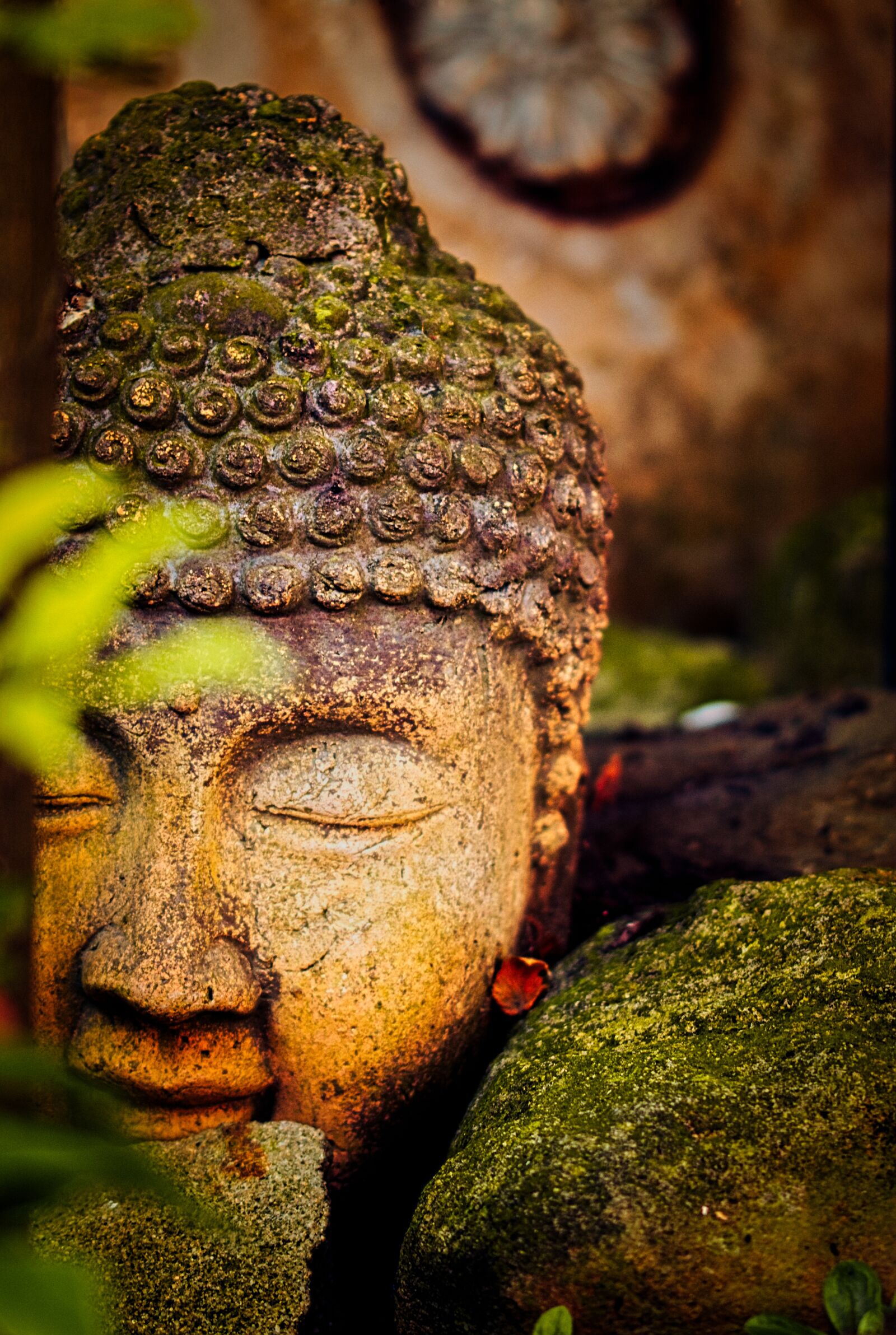 Canon EOS 200D (EOS Rebel SL2 / EOS Kiss X9) sample photo. Buddha, religion, buddhism photography