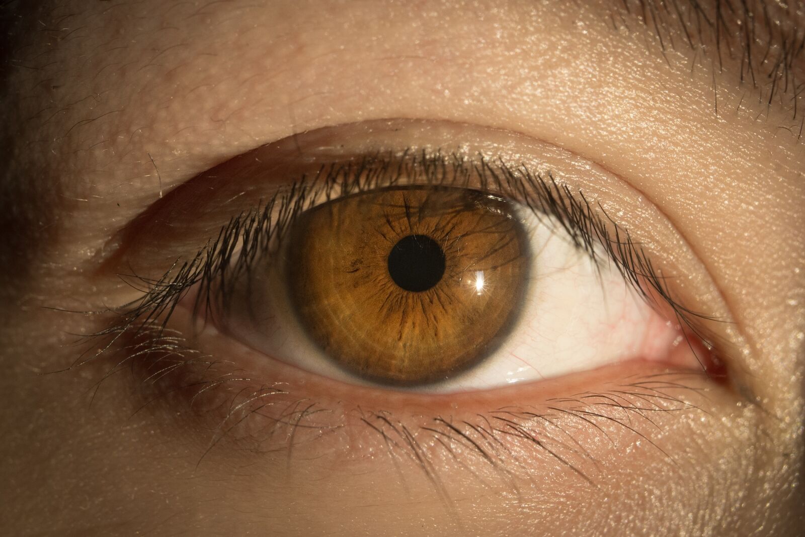 Nikon D600 sample photo. Eye, eyes, to watch photography