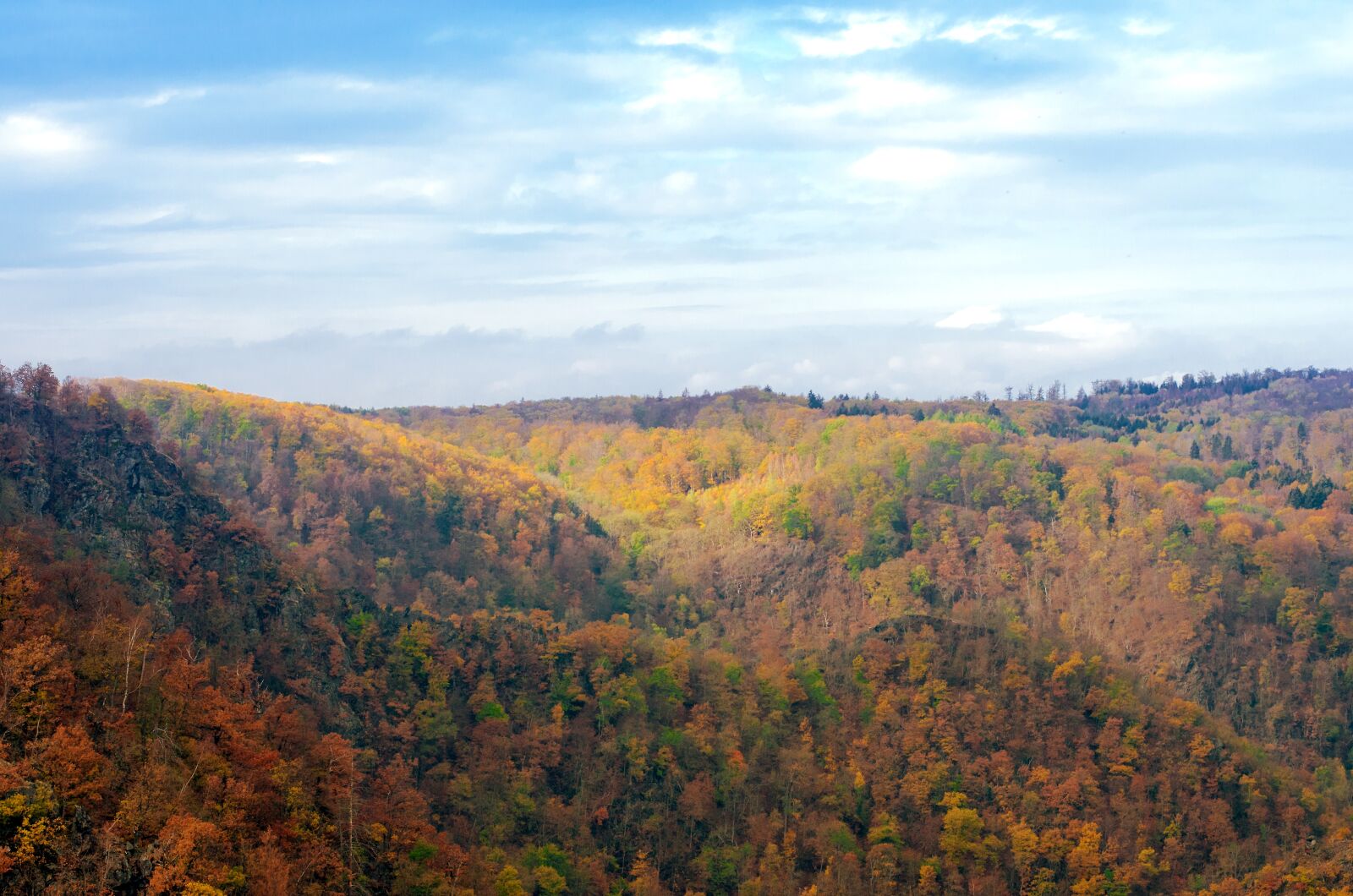 Nikon D5100 sample photo. Resin, autumn, nature photography