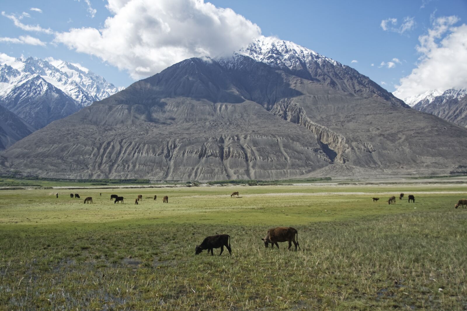 Nikon D500 sample photo. Tajikistan, pamir, high mountains photography