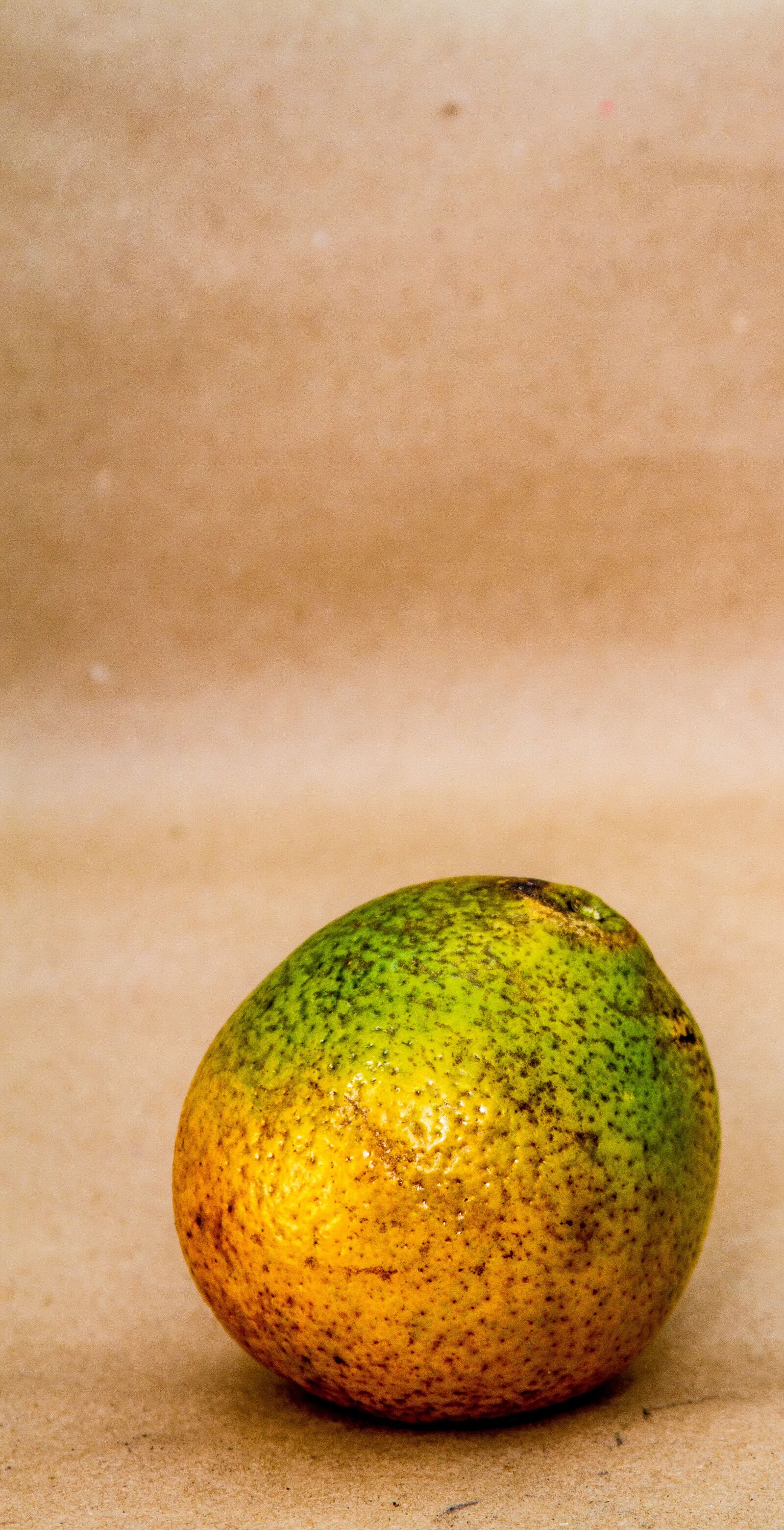 Canon EF 28-135mm F3.5-5.6 IS USM sample photo. Fruit, oranges, food photography