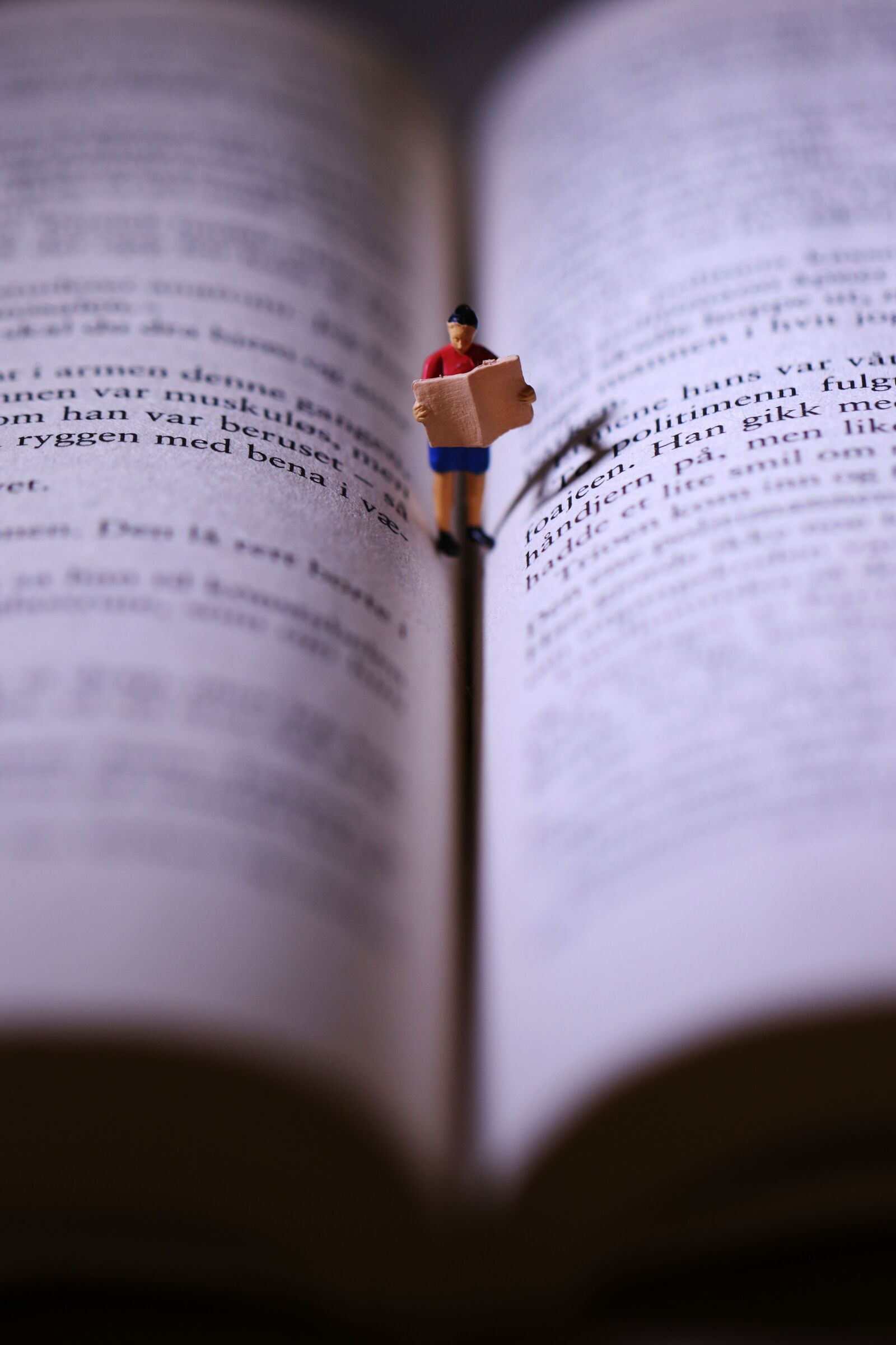 Canon EOS 7D Mark II sample photo. Book, miniature, reading photography