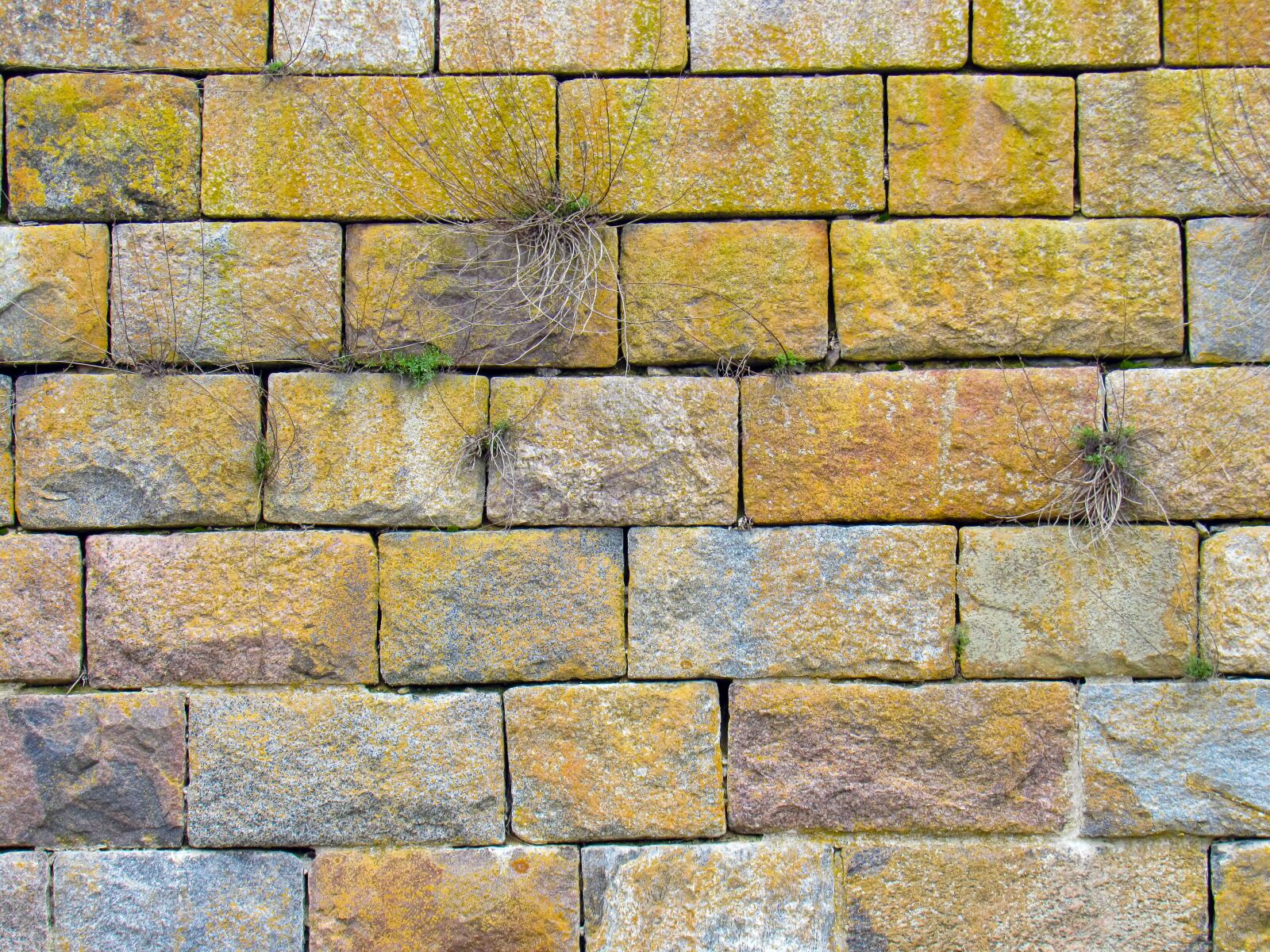 Canon PowerShot SX520 HS sample photo. Stone, wall, brick photography