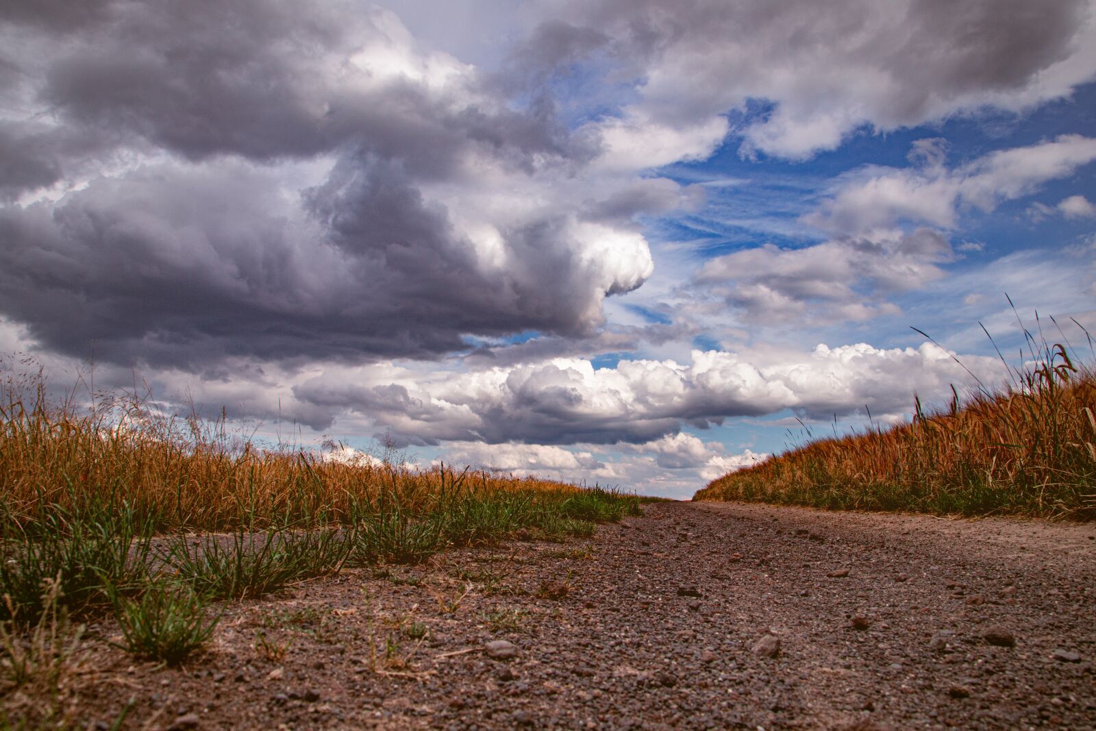 Canon EOS 6D + Canon EF 24-105mm F4L IS USM sample photo. Field, cornfield, clouds photography