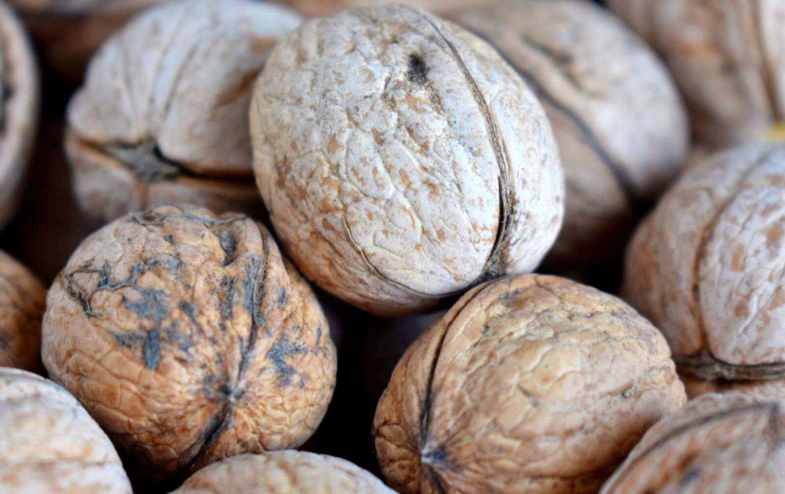 Nikon D3400 sample photo. Walnut, greek, healthy photography