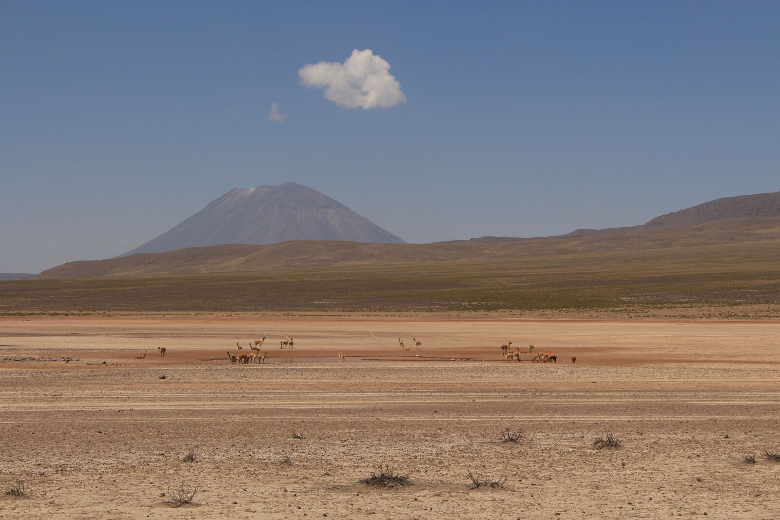 Canon EOS 700D (EOS Rebel T5i / EOS Kiss X7i) sample photo. Lama, mountains, desert photography