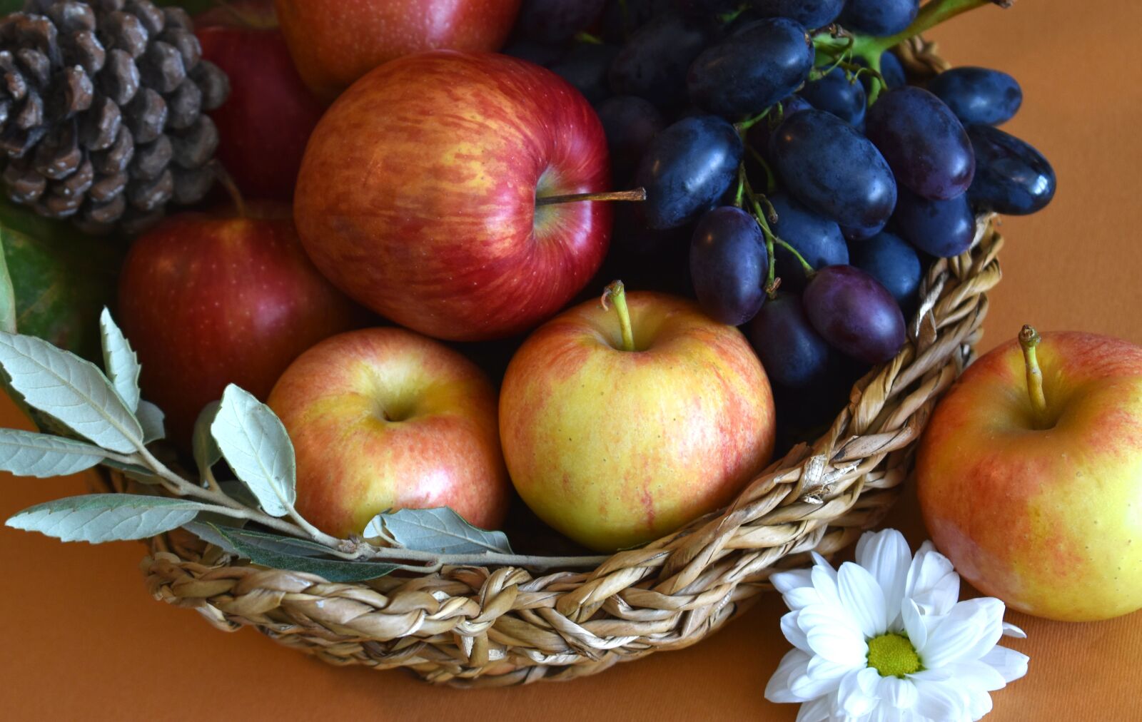 Nikon D3400 sample photo. Fruits, fruit basket, basket photography