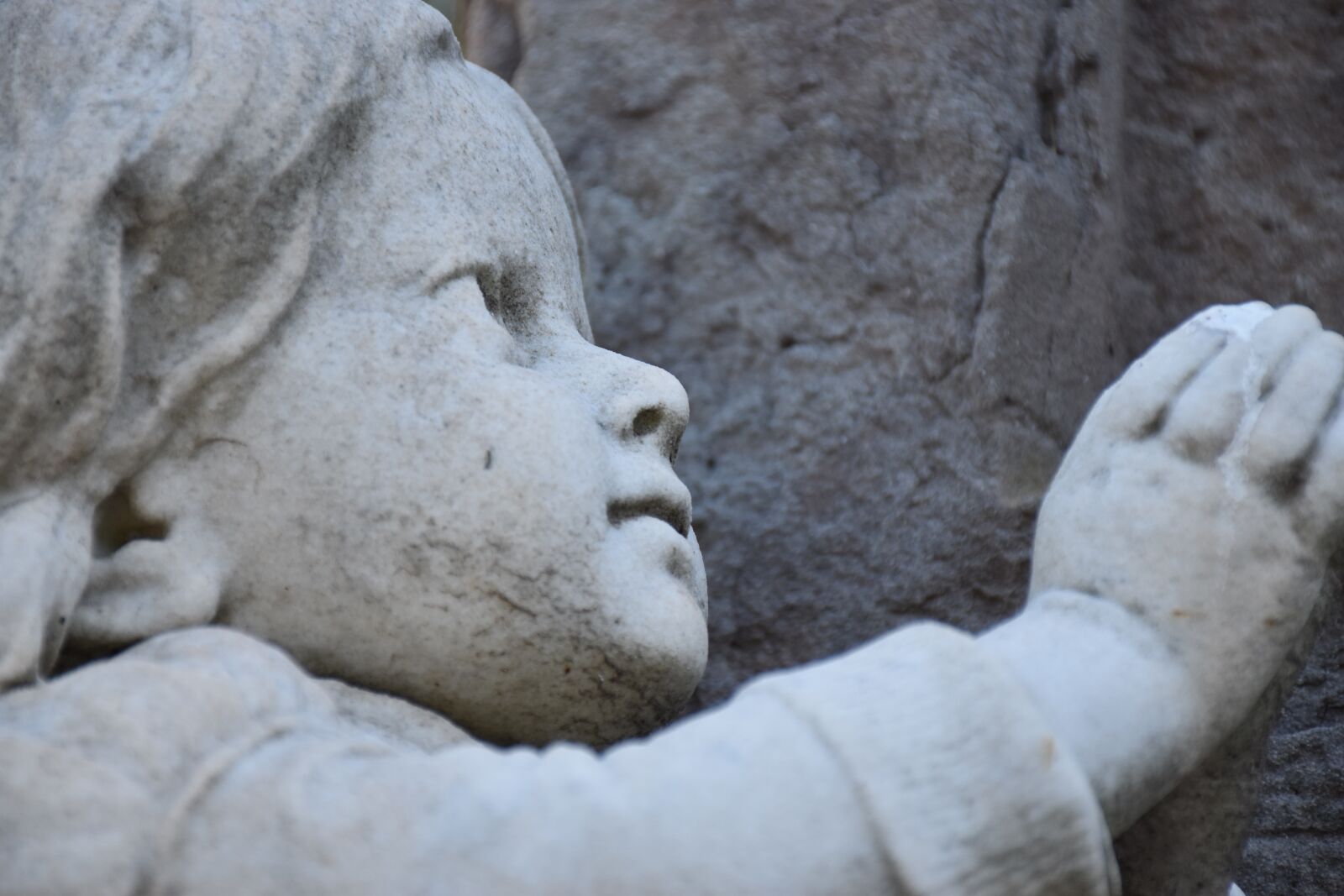 Nikon D5500 sample photo. End-of-life, death, passing photography