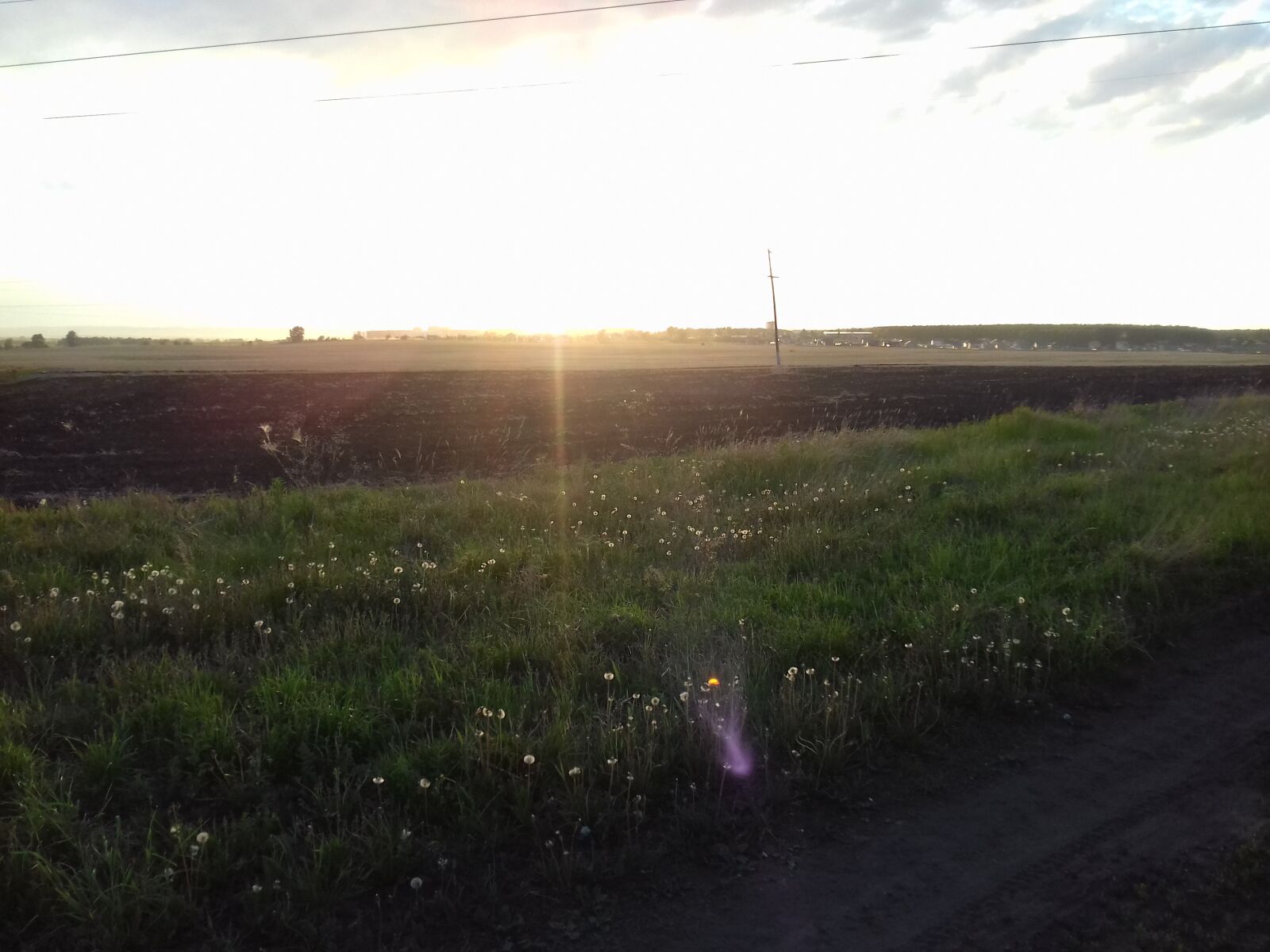 Samsung Galaxy Grand Prime sample photo. Field, evening, sunset photography