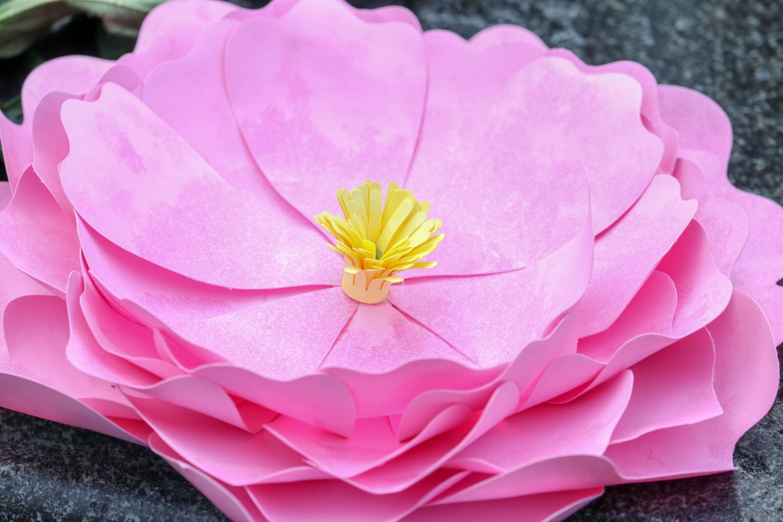 Canon EF-S 55-250mm F4-5.6 IS STM sample photo. Paper, flower, scrapbook photography