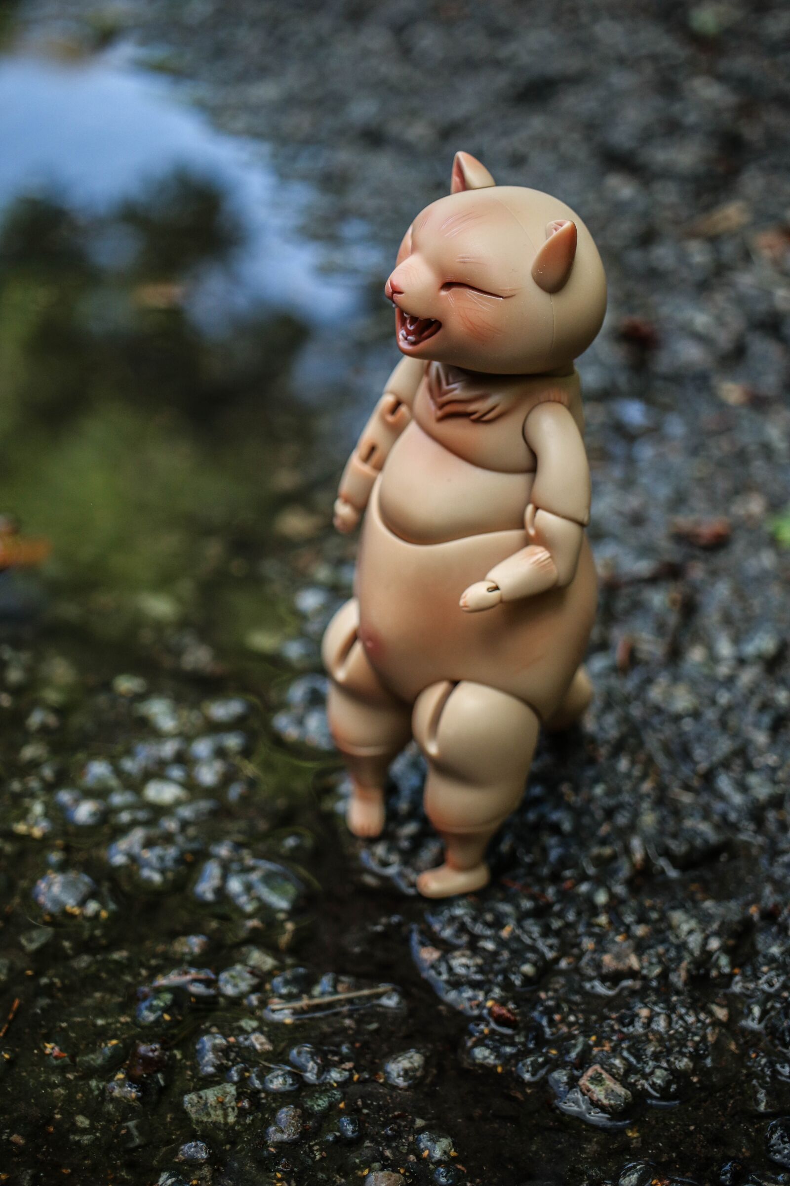 Canon EOS 7D Mark II sample photo. Toy, puddle, reflection photography