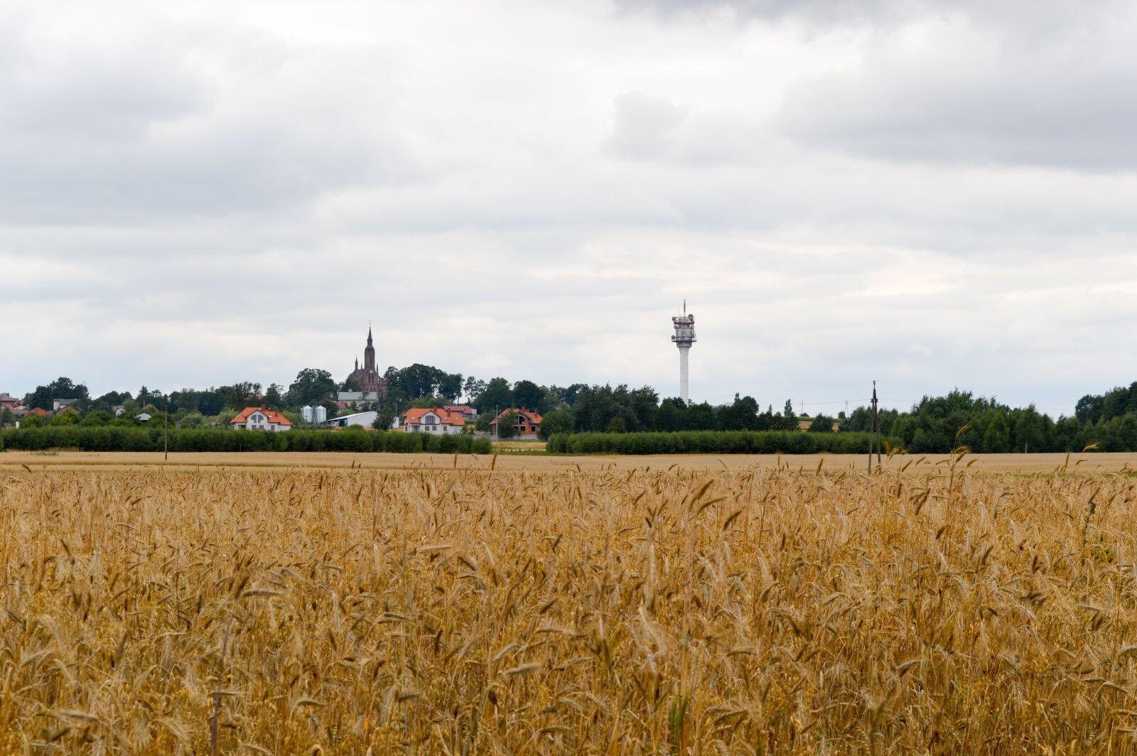 Nikon D3200 sample photo. Landscape, field, agriculture photography