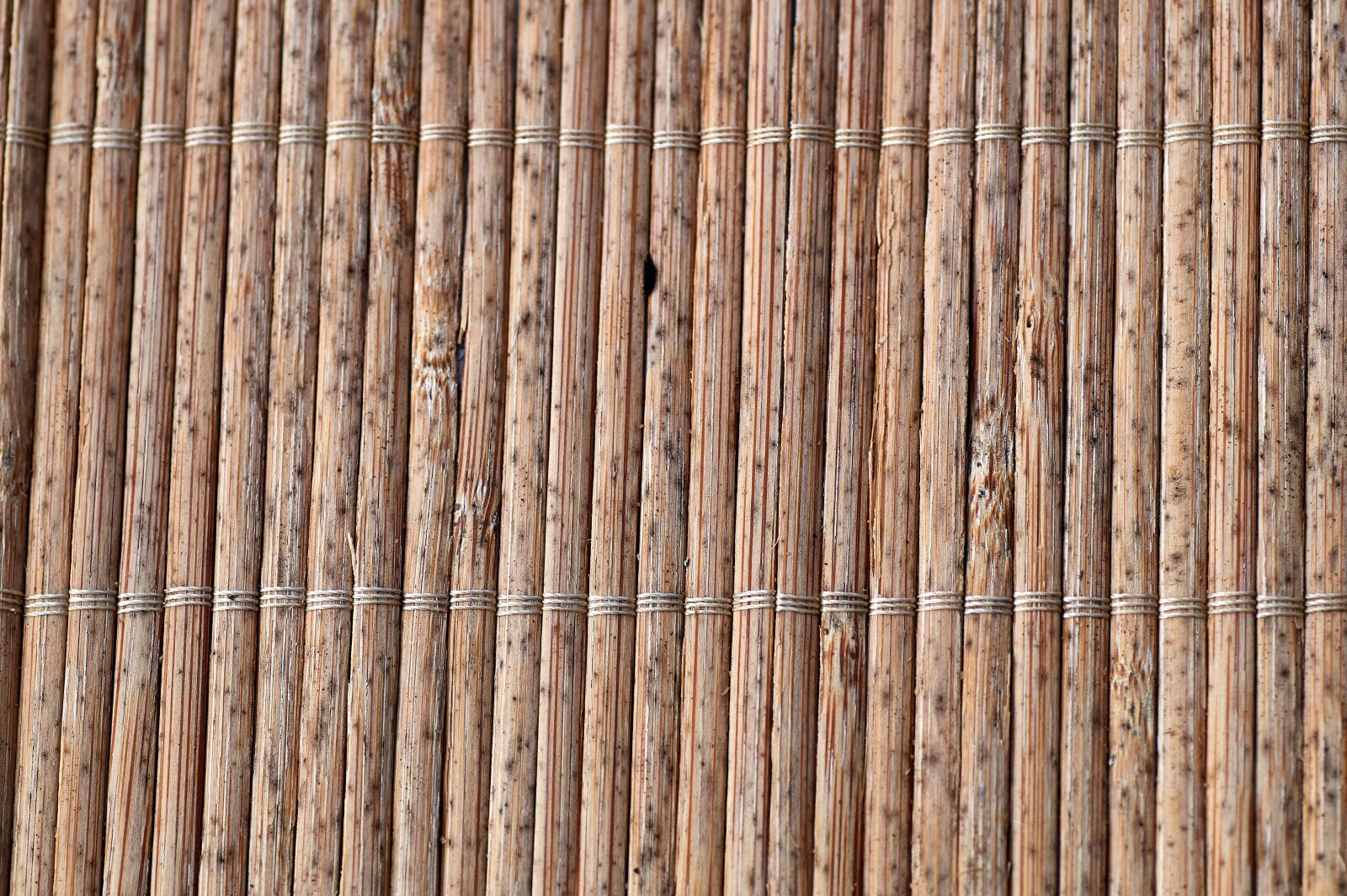 Sony SLT-A58 sample photo. Background, texture, pattern photography