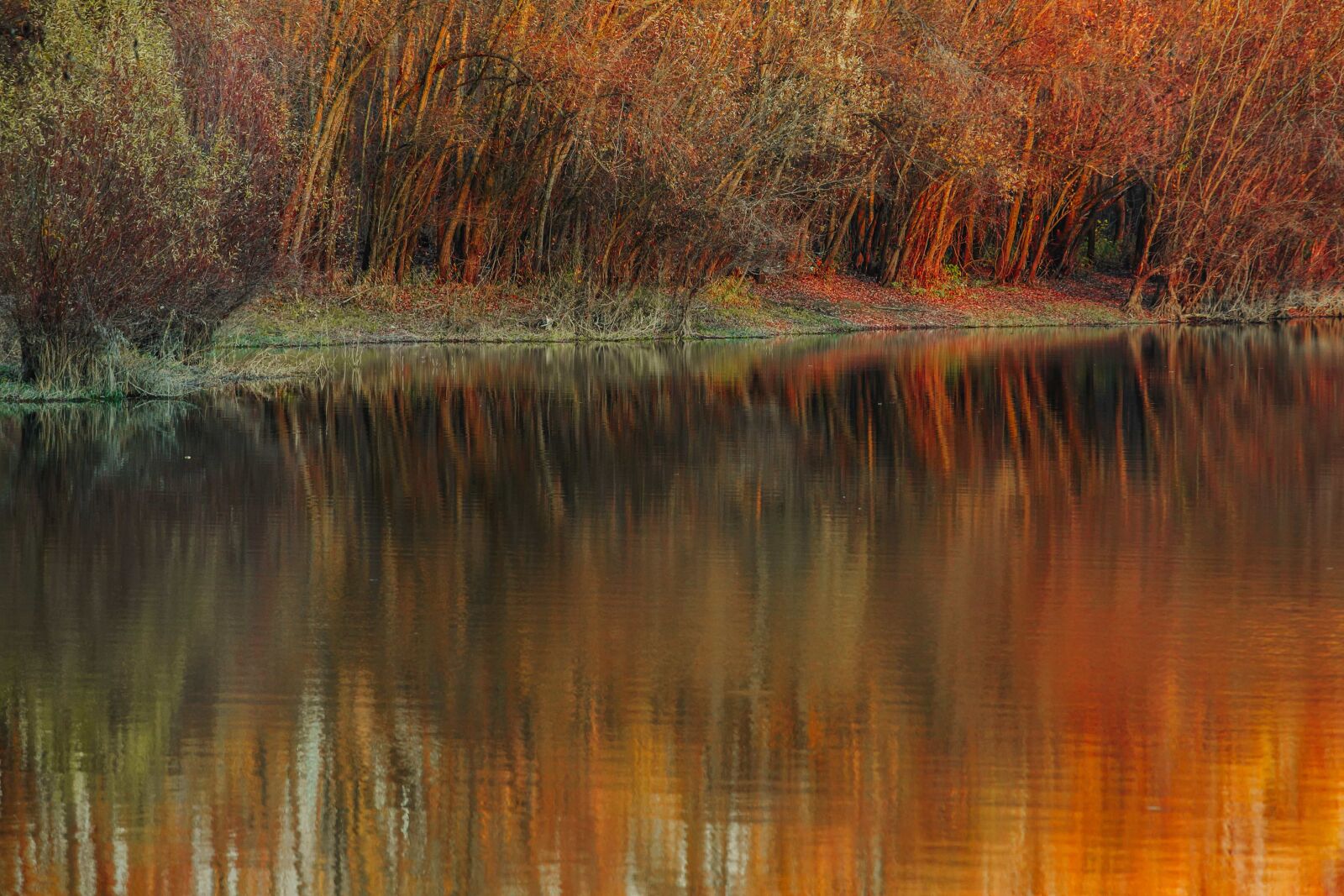 Canon EOS 5D Mark III sample photo. Autumn season, water, reflection photography