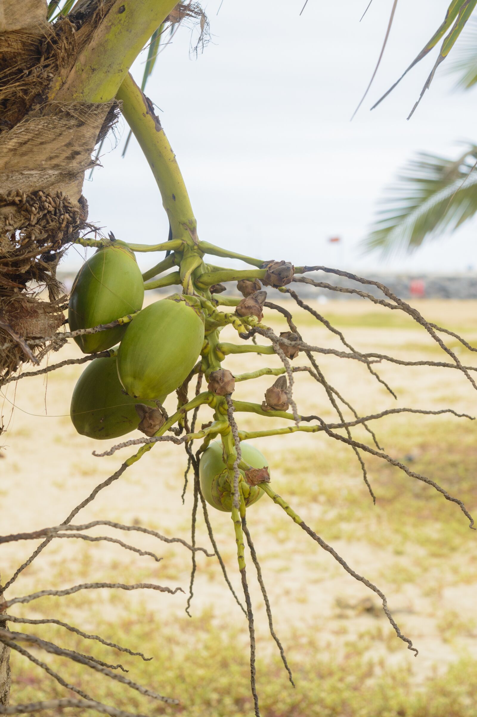 Nikon D3200 sample photo. Beach, nature, sea photography
